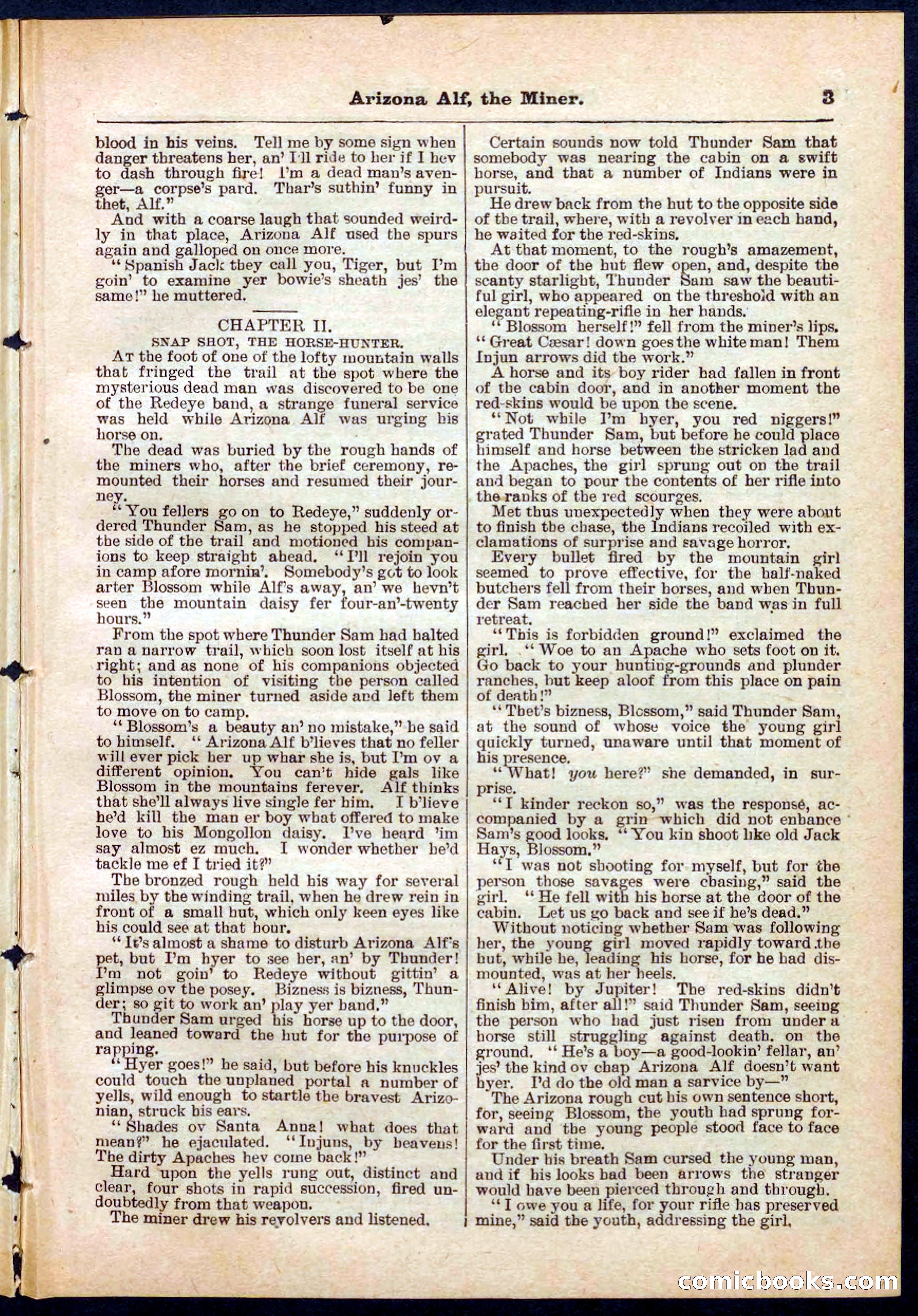 Beadle's Pocket Library No. 278 — page 3 of 32