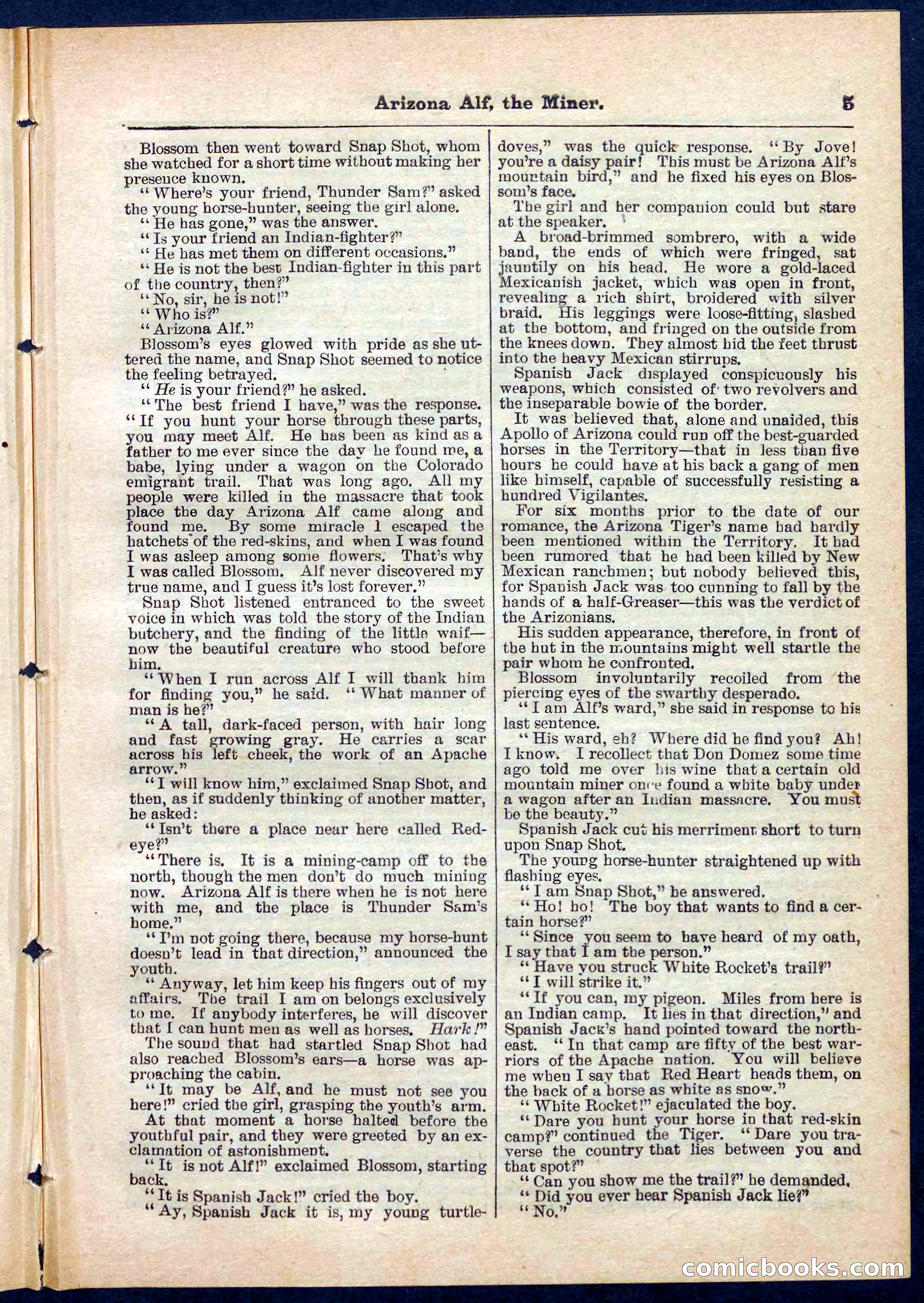 Beadle's Pocket Library No. 278 — page 5 of 32
