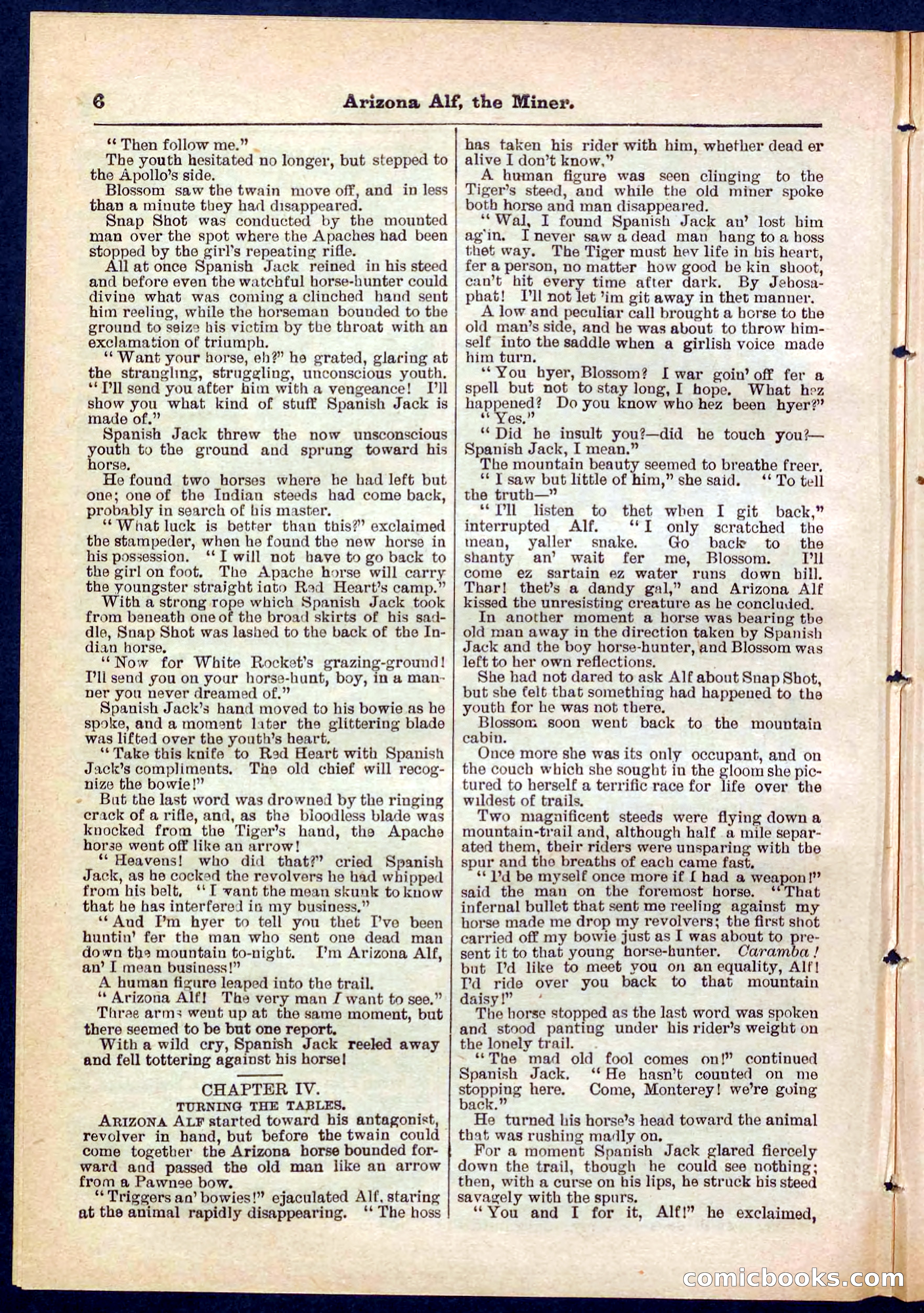 Beadle's Pocket Library No. 278 — page 6 of 32