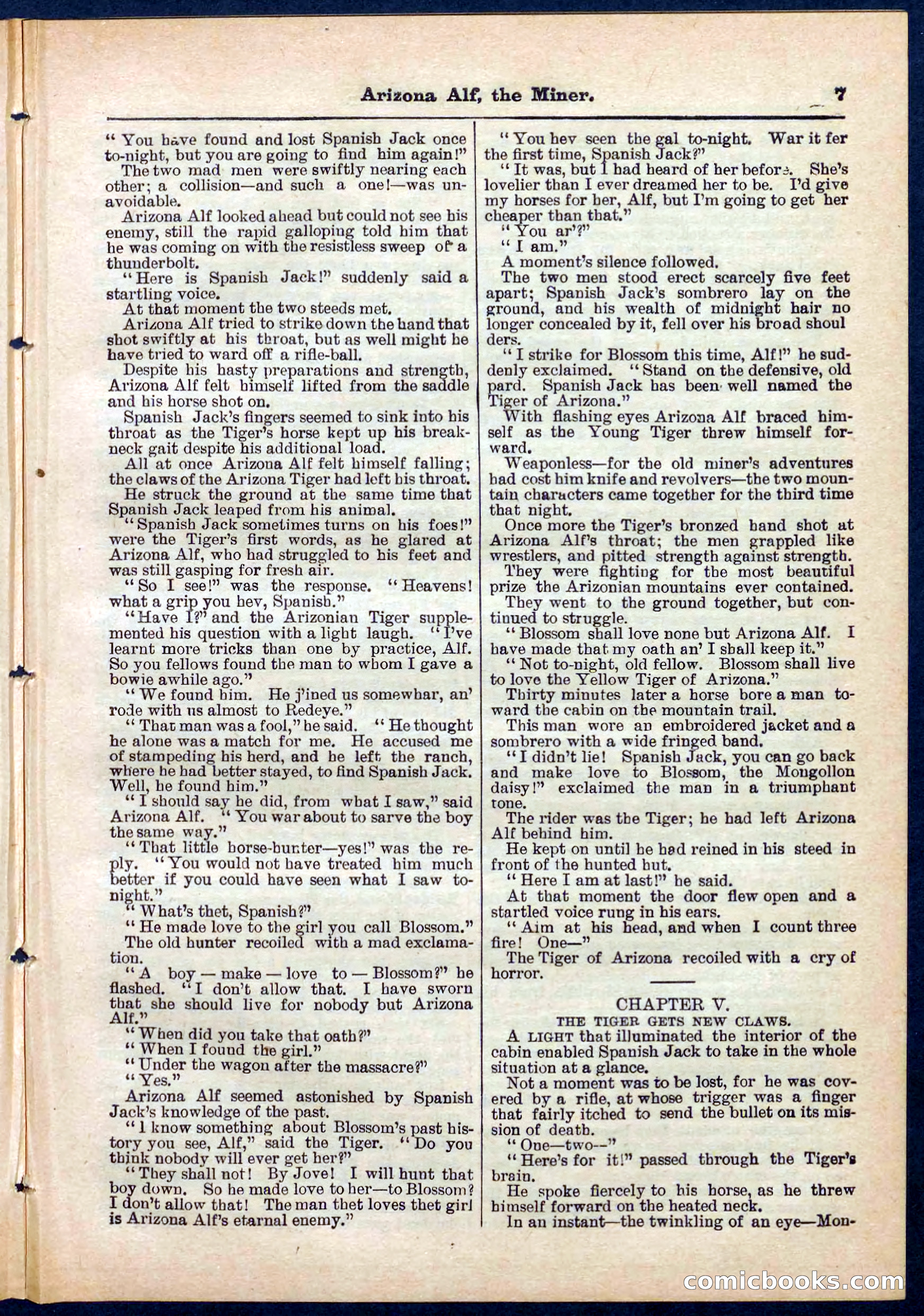 Beadle's Pocket Library No. 278 — page 7 of 32