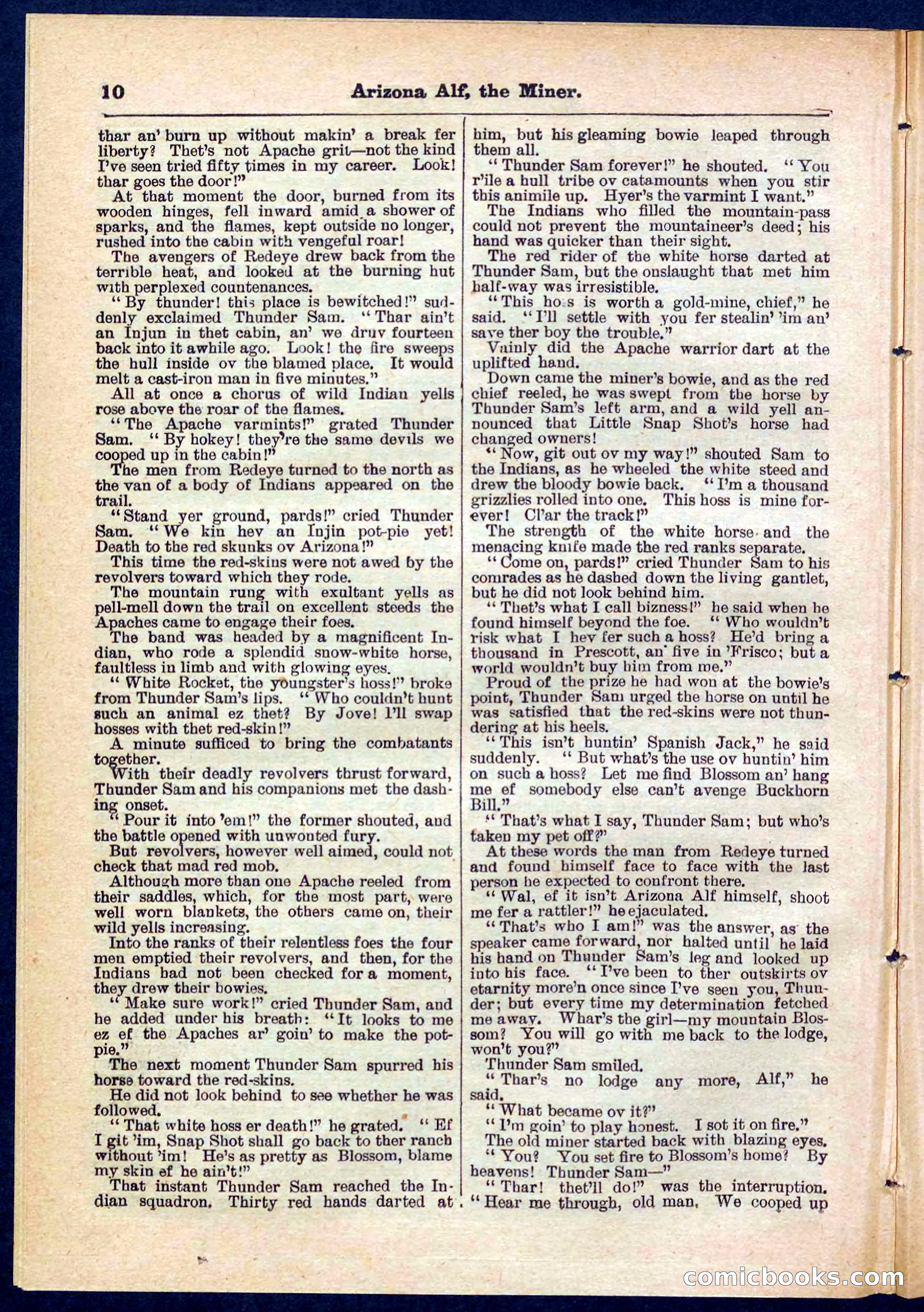 Beadle's Pocket Library No. 278 — page 10 of 32