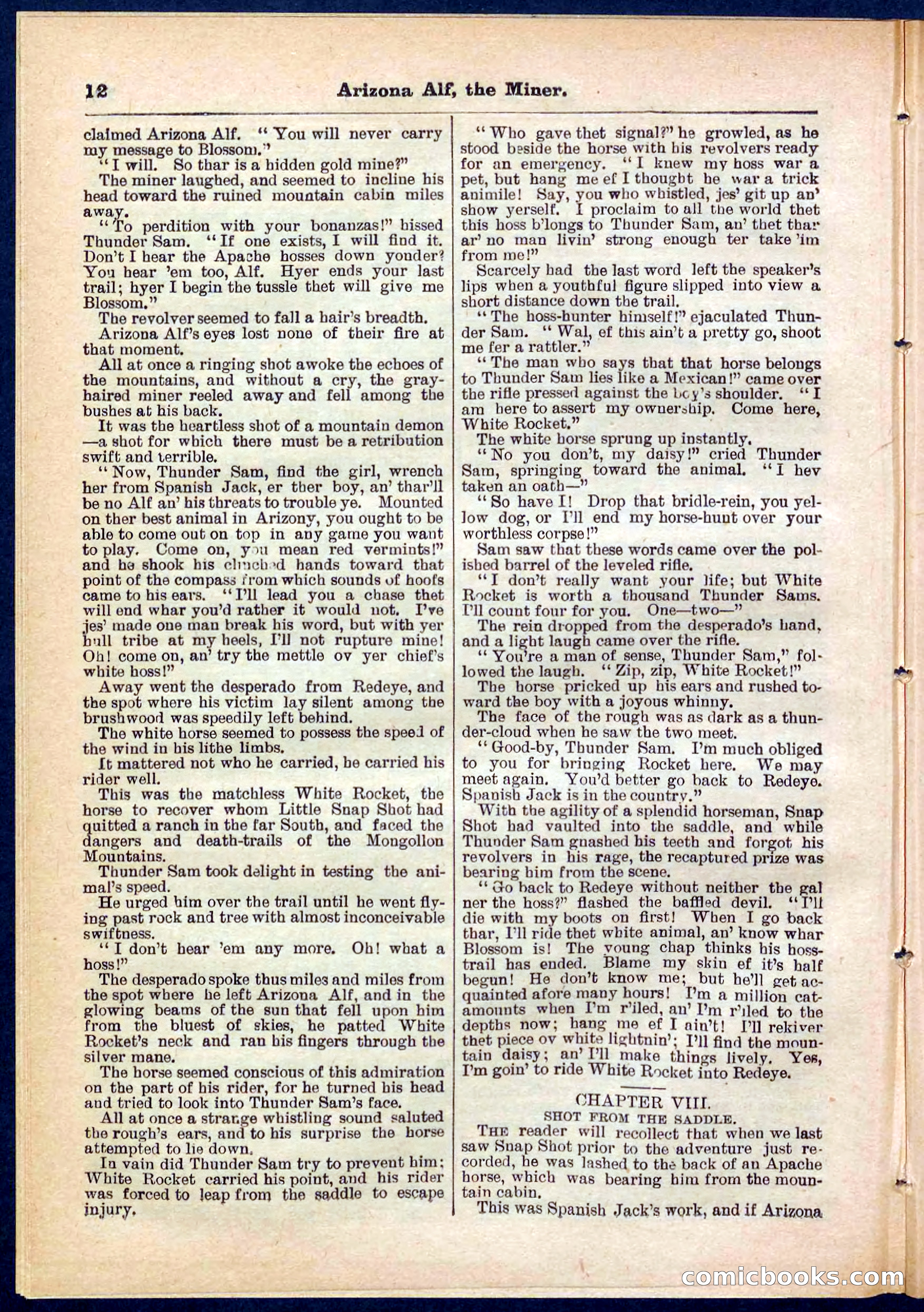 Beadle's Pocket Library No. 278 — page 12 of 32