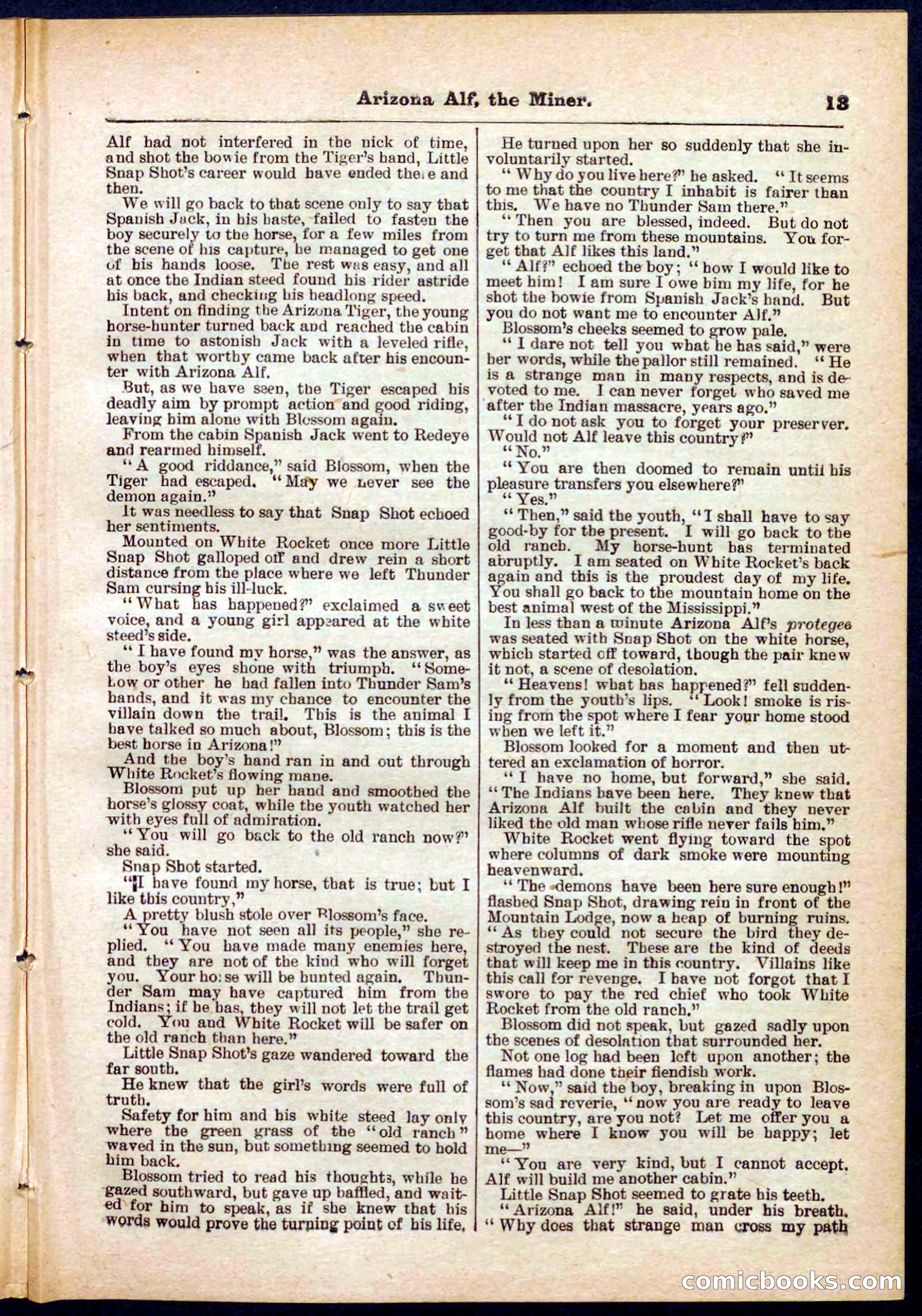 Beadle's Pocket Library No. 278 — page 13 of 32