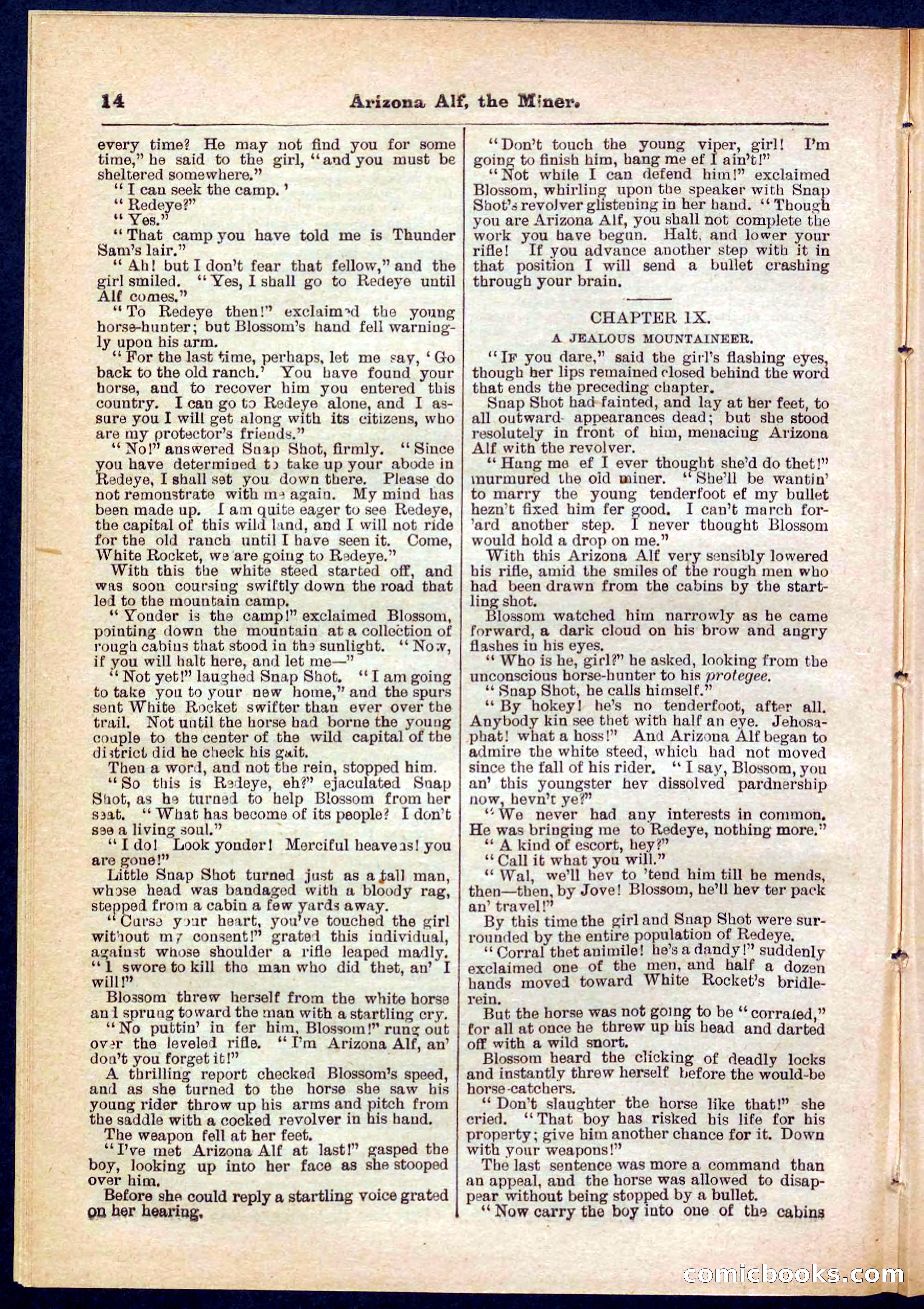 Beadle's Pocket Library No. 278 — page 14 of 32