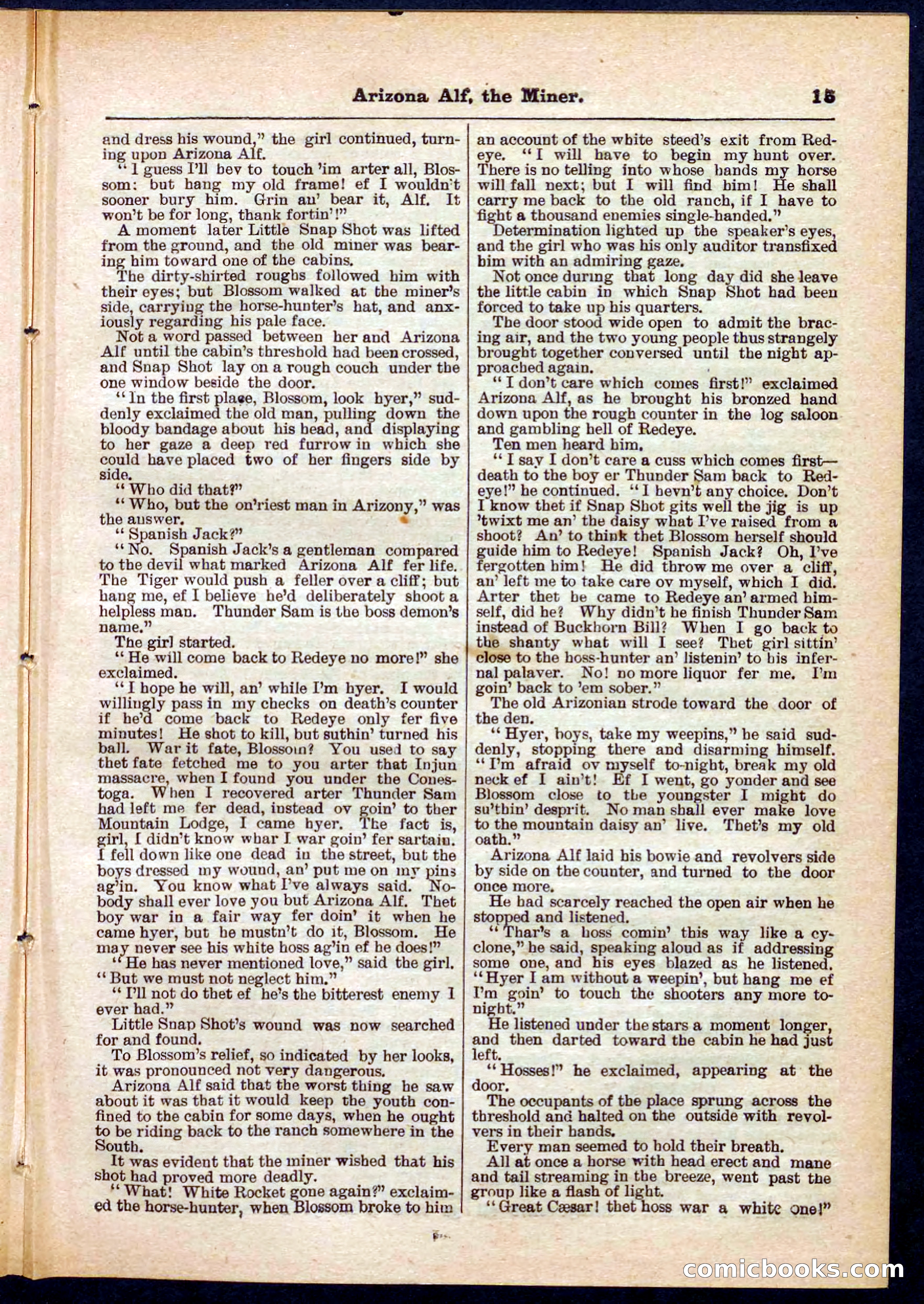 Beadle's Pocket Library No. 278 — page 15 of 32