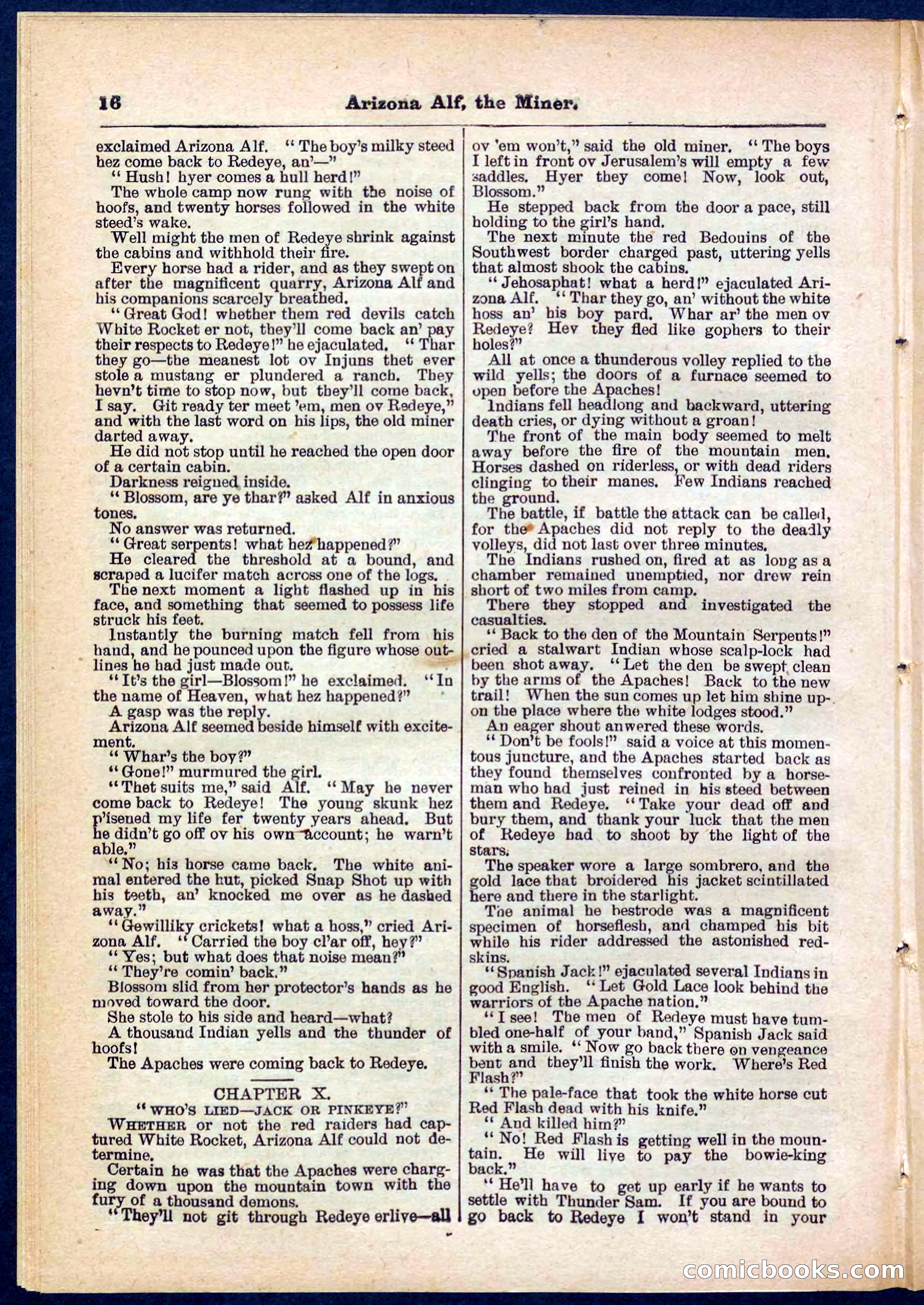 Beadle's Pocket Library No. 278 — page 16 of 32