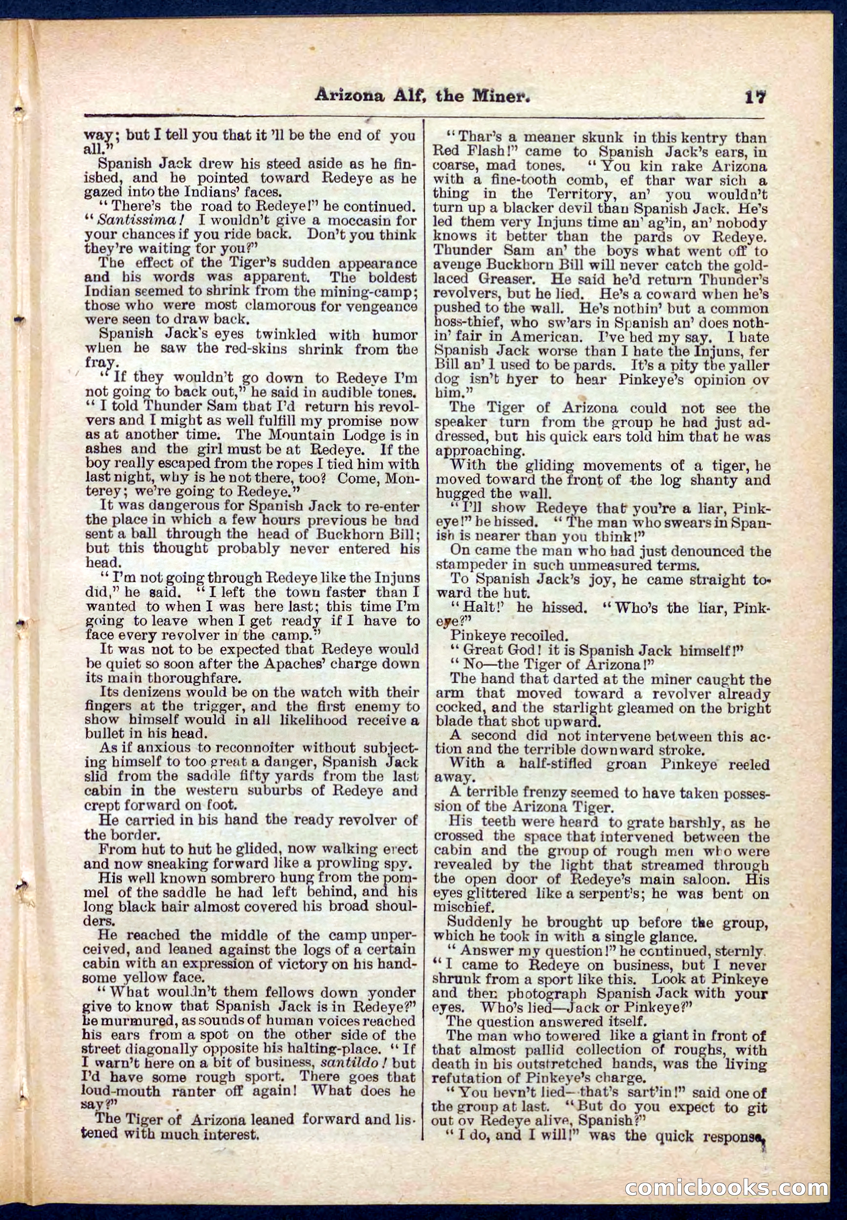 Beadle's Pocket Library No. 278 — page 17 of 32
