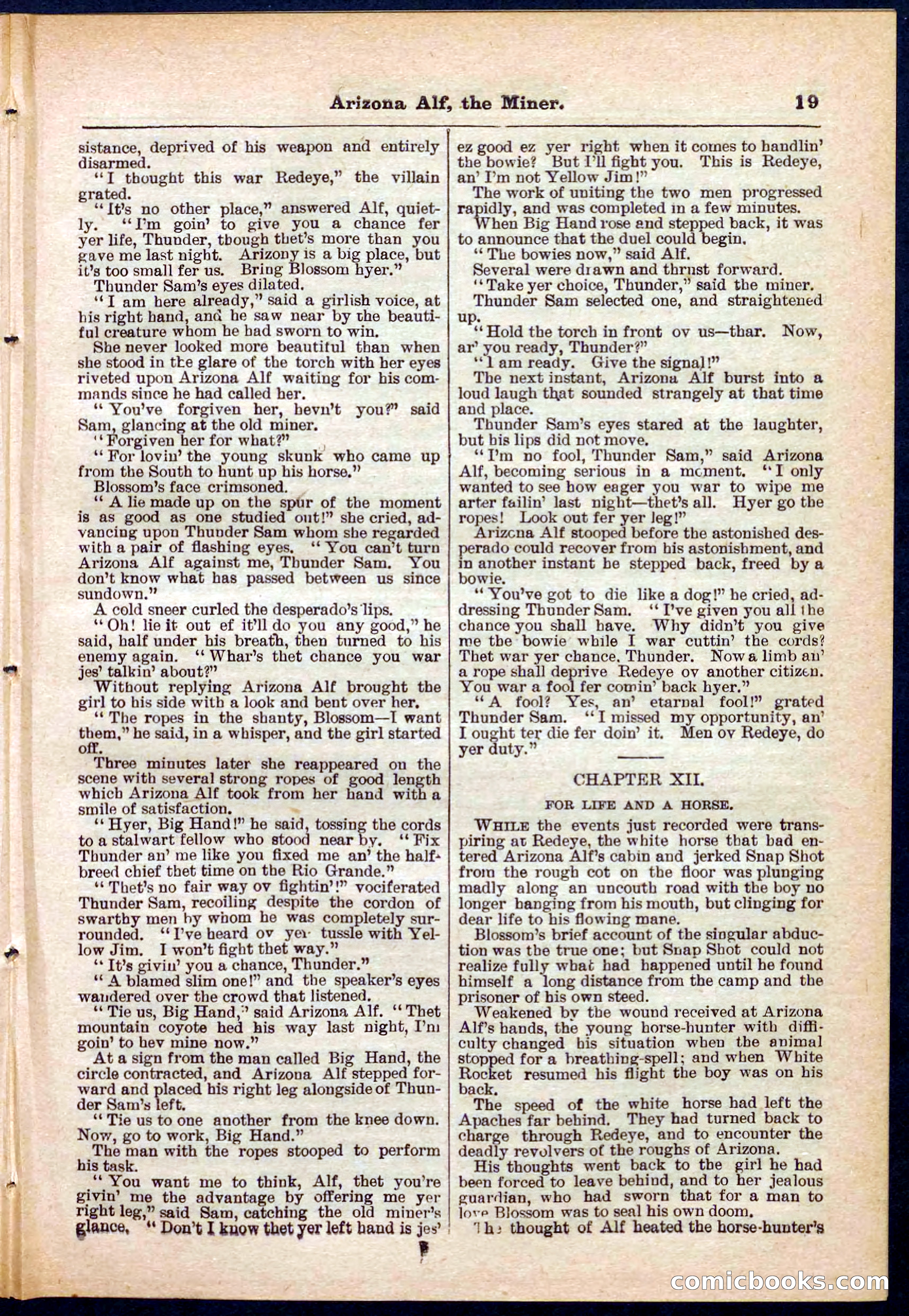 Beadle's Pocket Library No. 278 — page 19 of 32