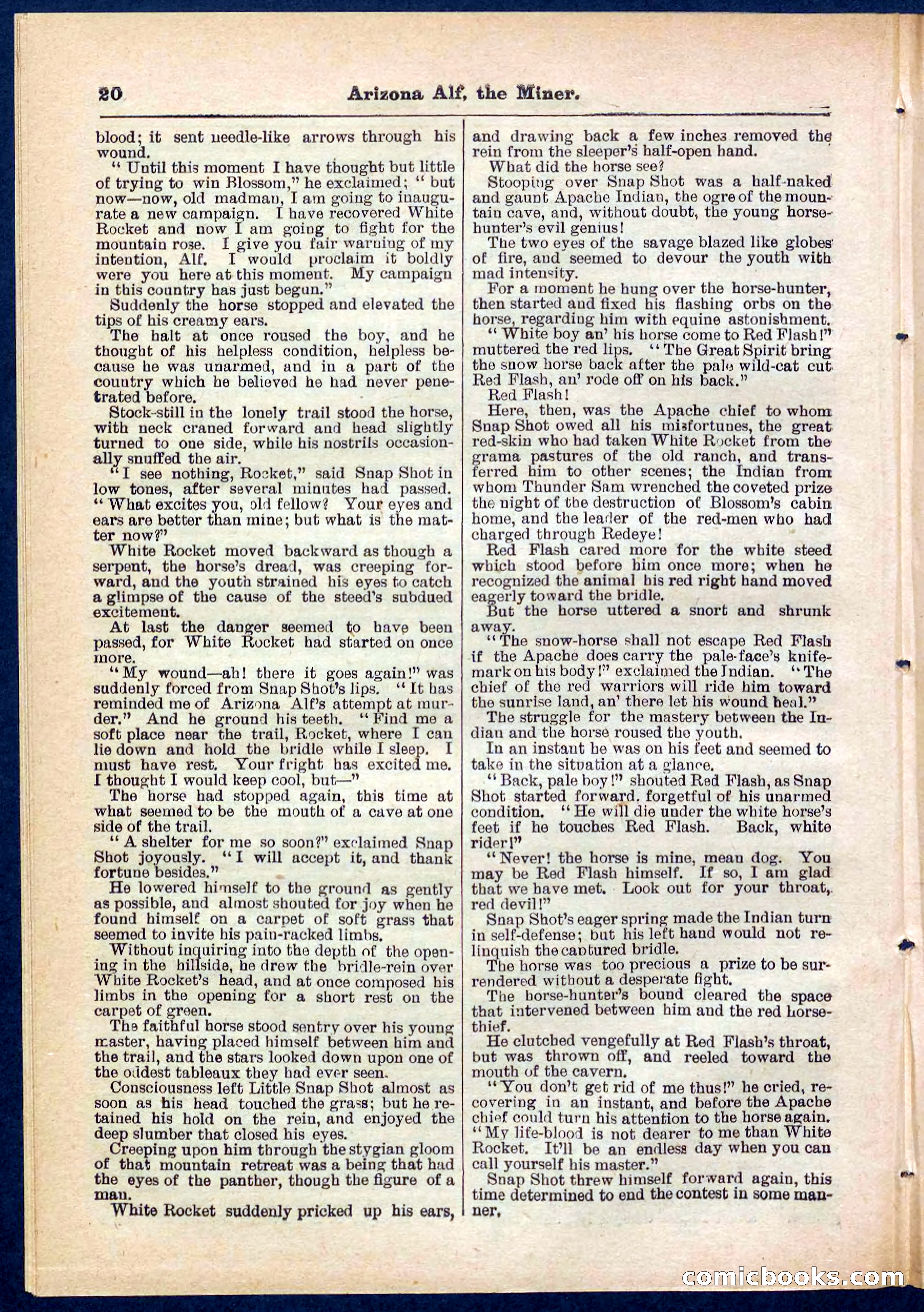 Beadle's Pocket Library No. 278 — page 20 of 32