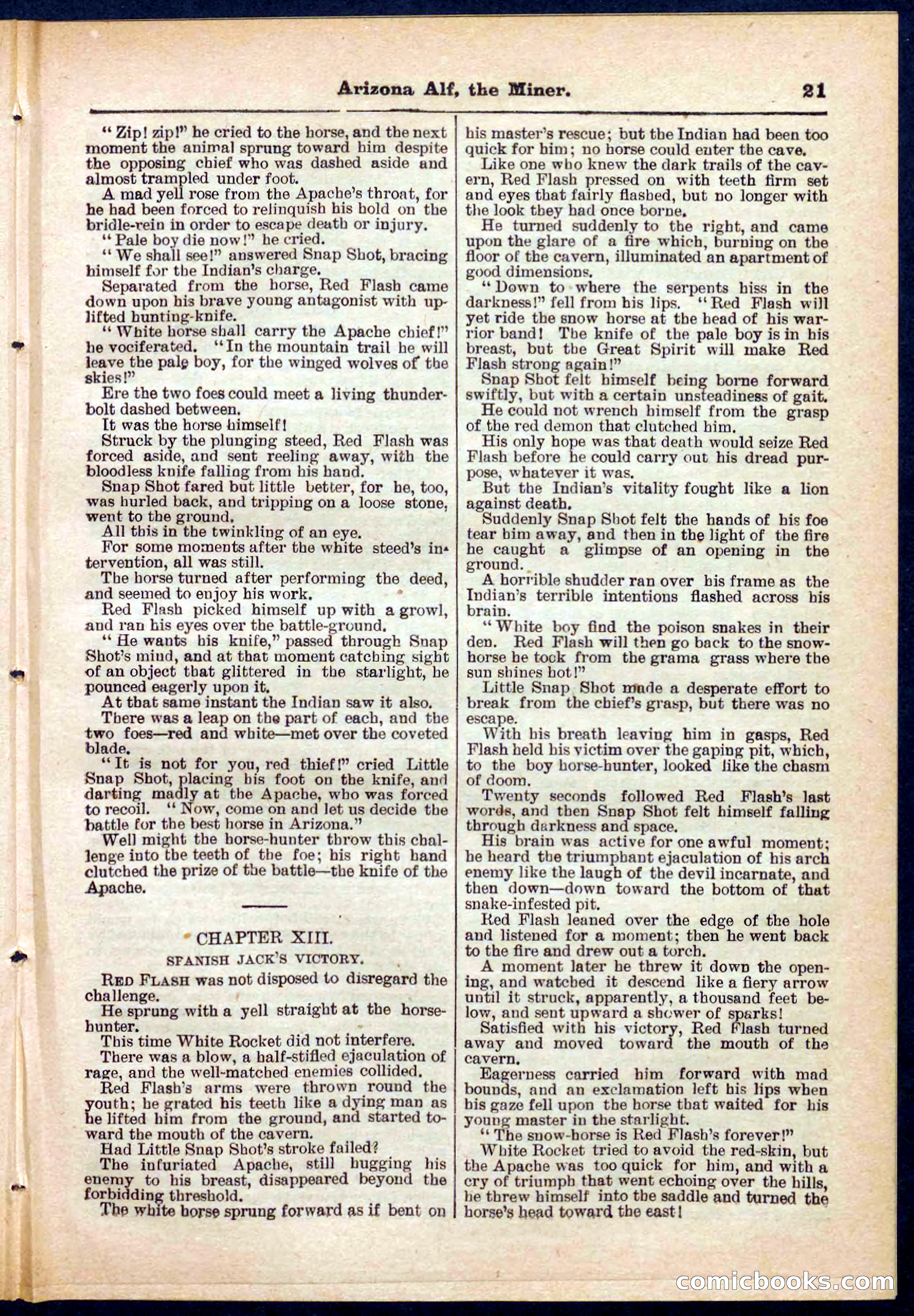 Beadle's Pocket Library No. 278 — page 21 of 32