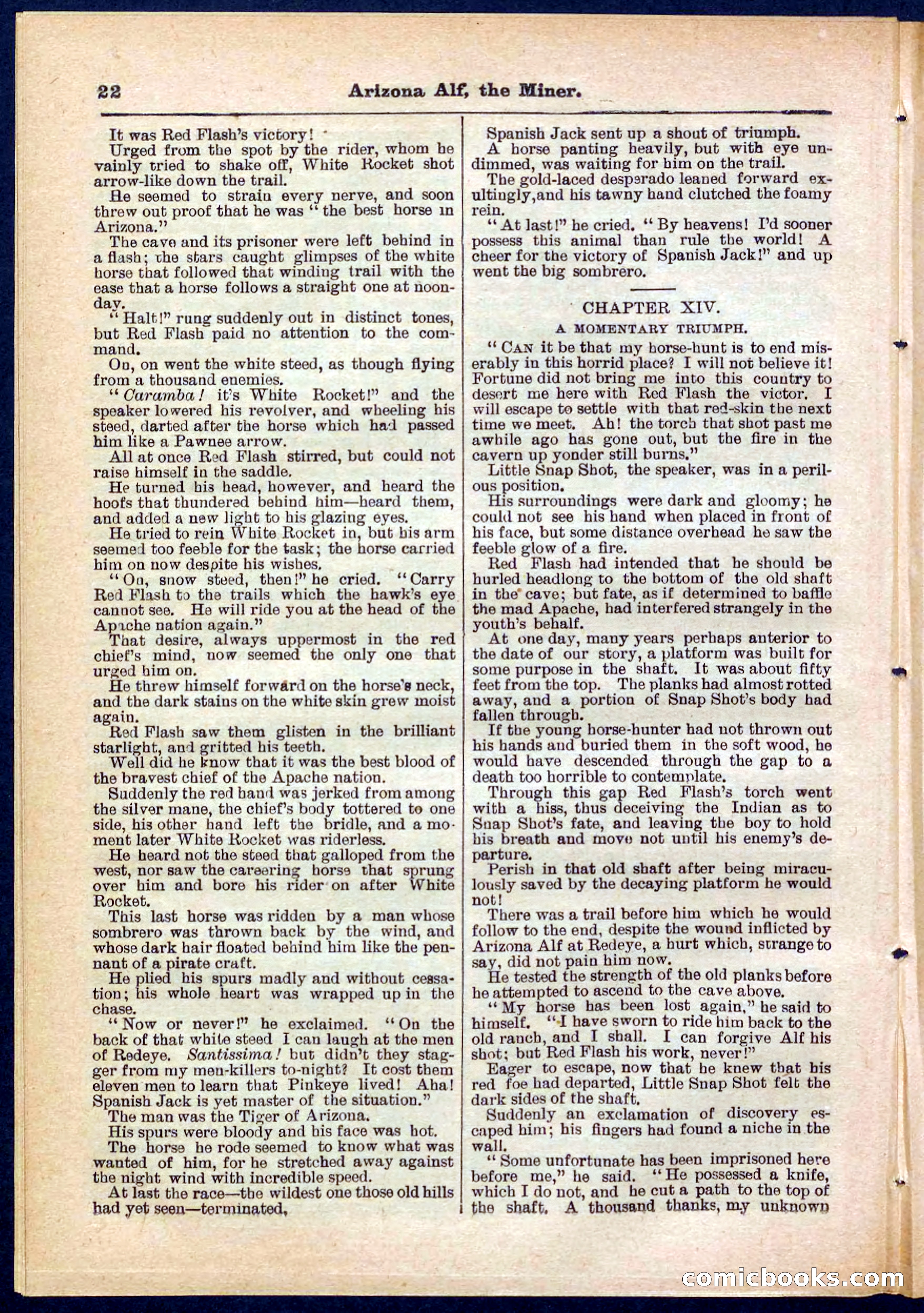 Beadle's Pocket Library No. 278 — page 22 of 32