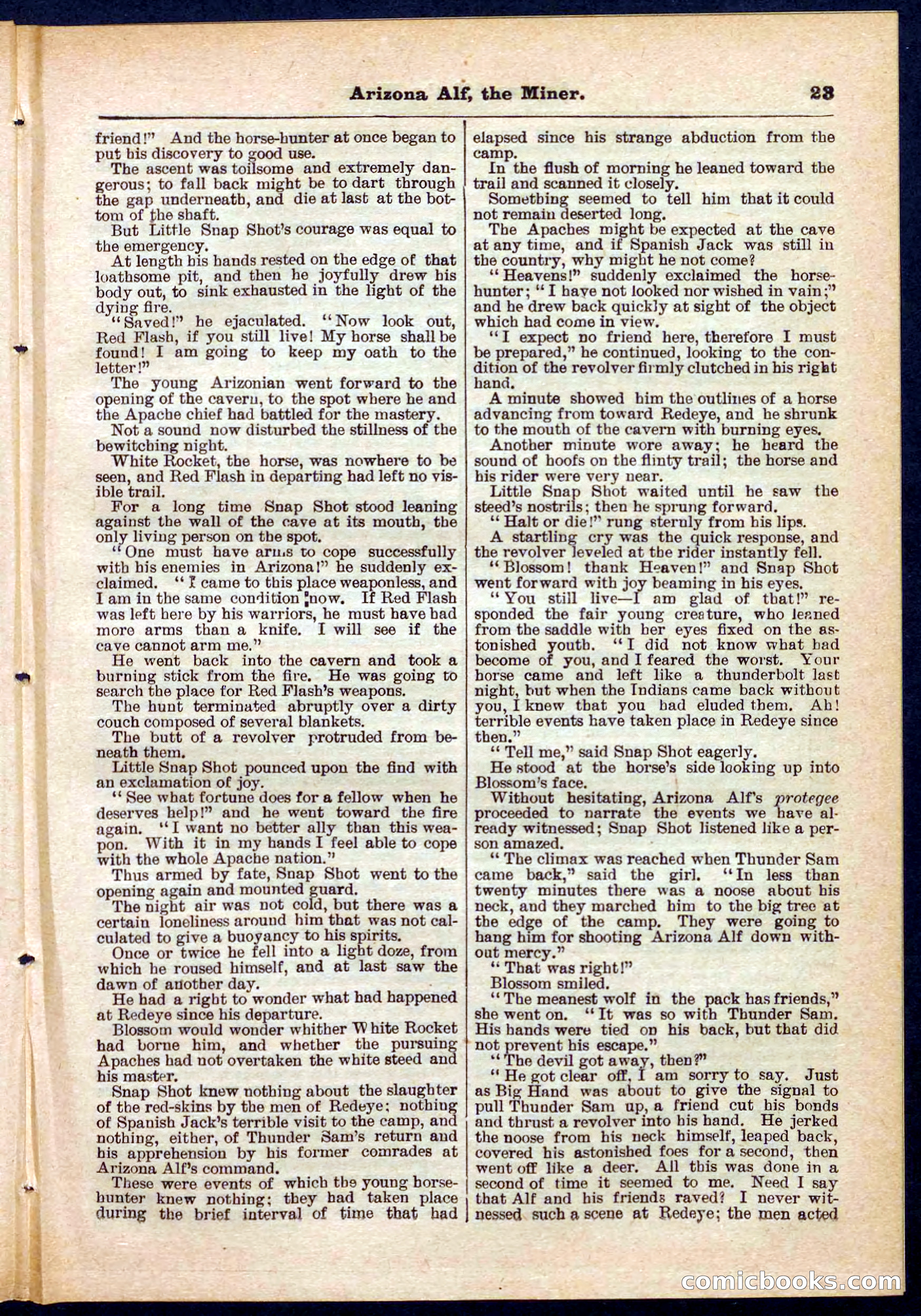 Beadle's Pocket Library No. 278 — page 23 of 32