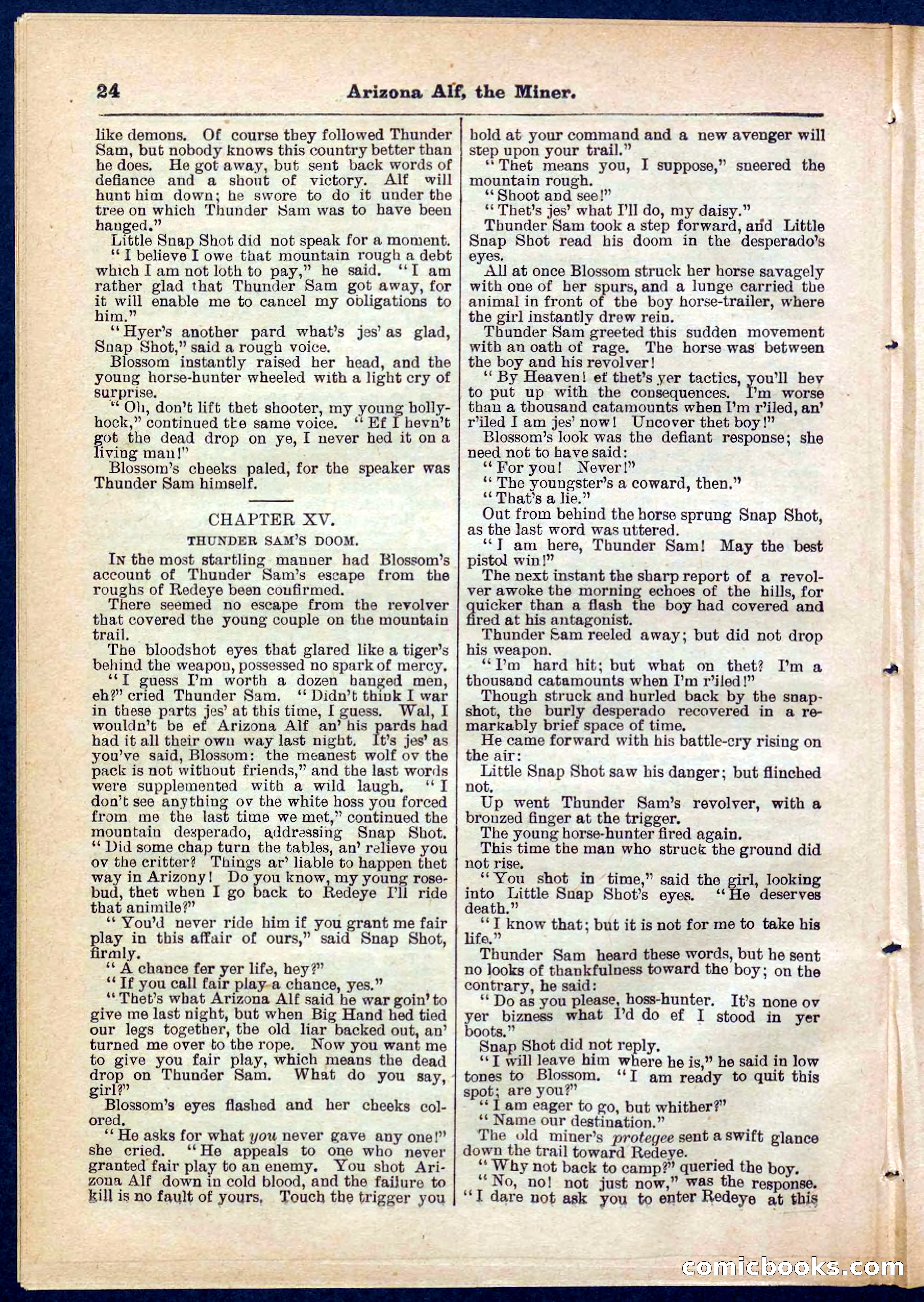 Beadle's Pocket Library No. 278 — page 24 of 32