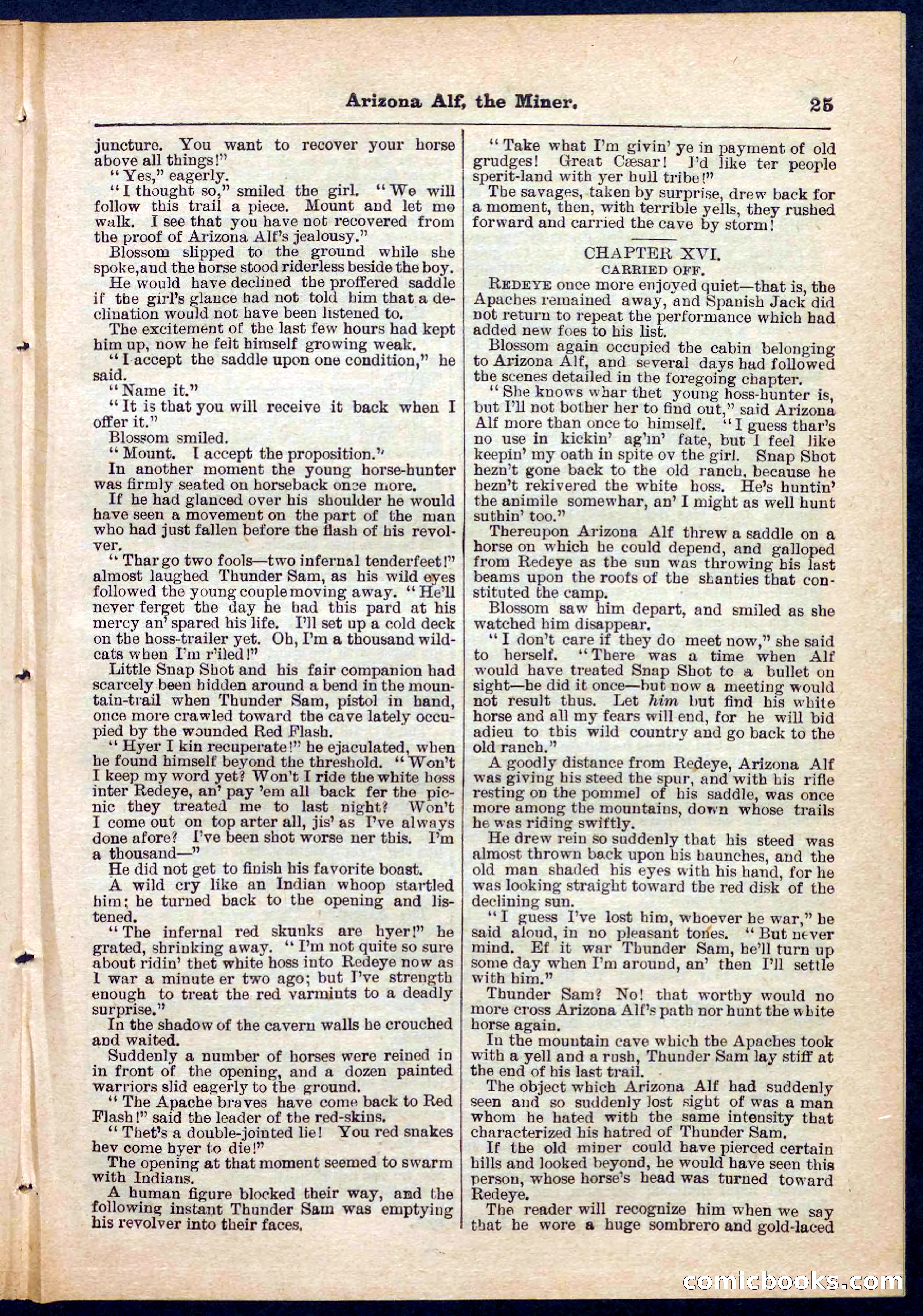 Beadle's Pocket Library No. 278 — page 25 of 32