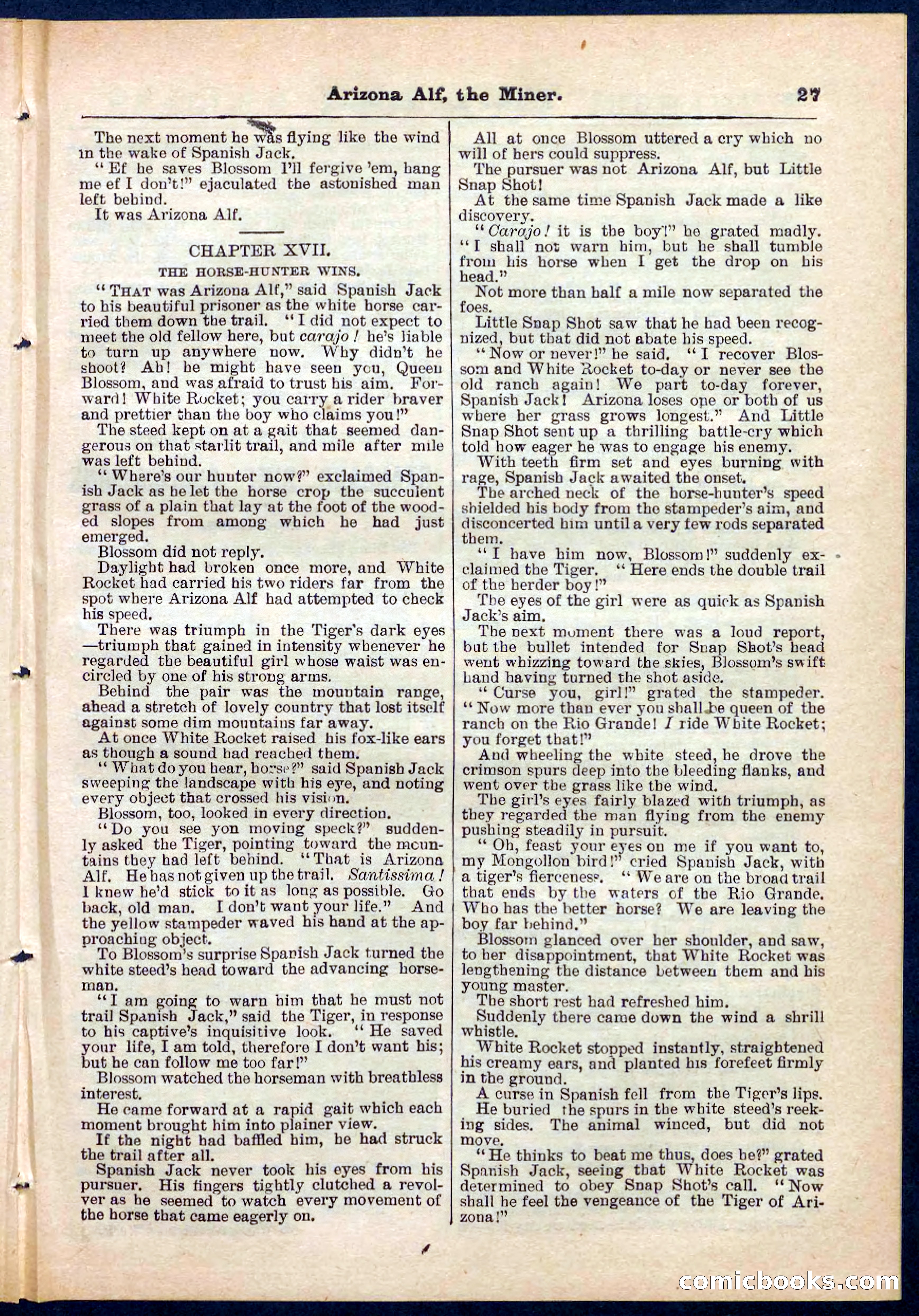 Beadle's Pocket Library No. 278 — page 27 of 32