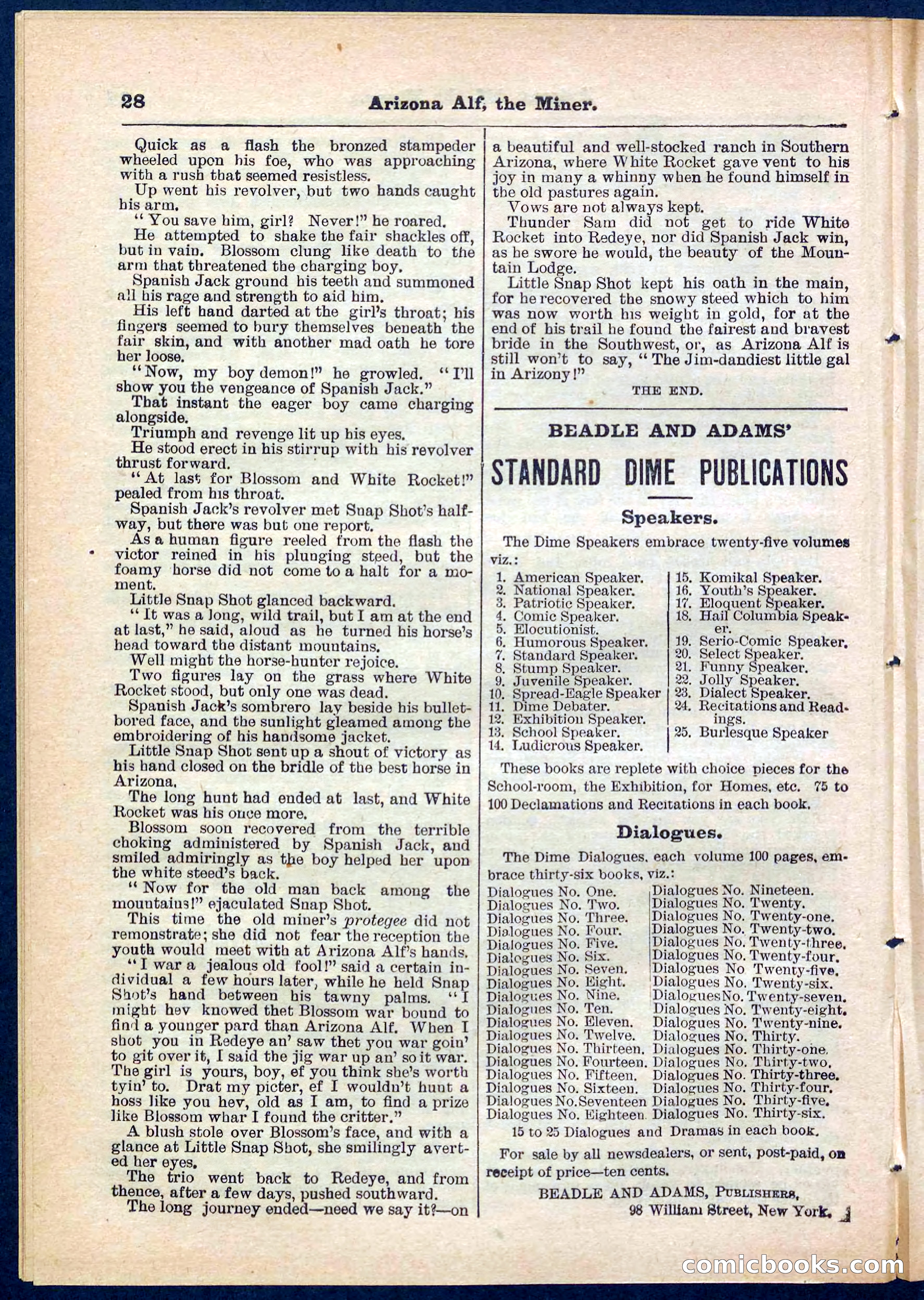 Beadle's Pocket Library No. 278 — page 28 of 32