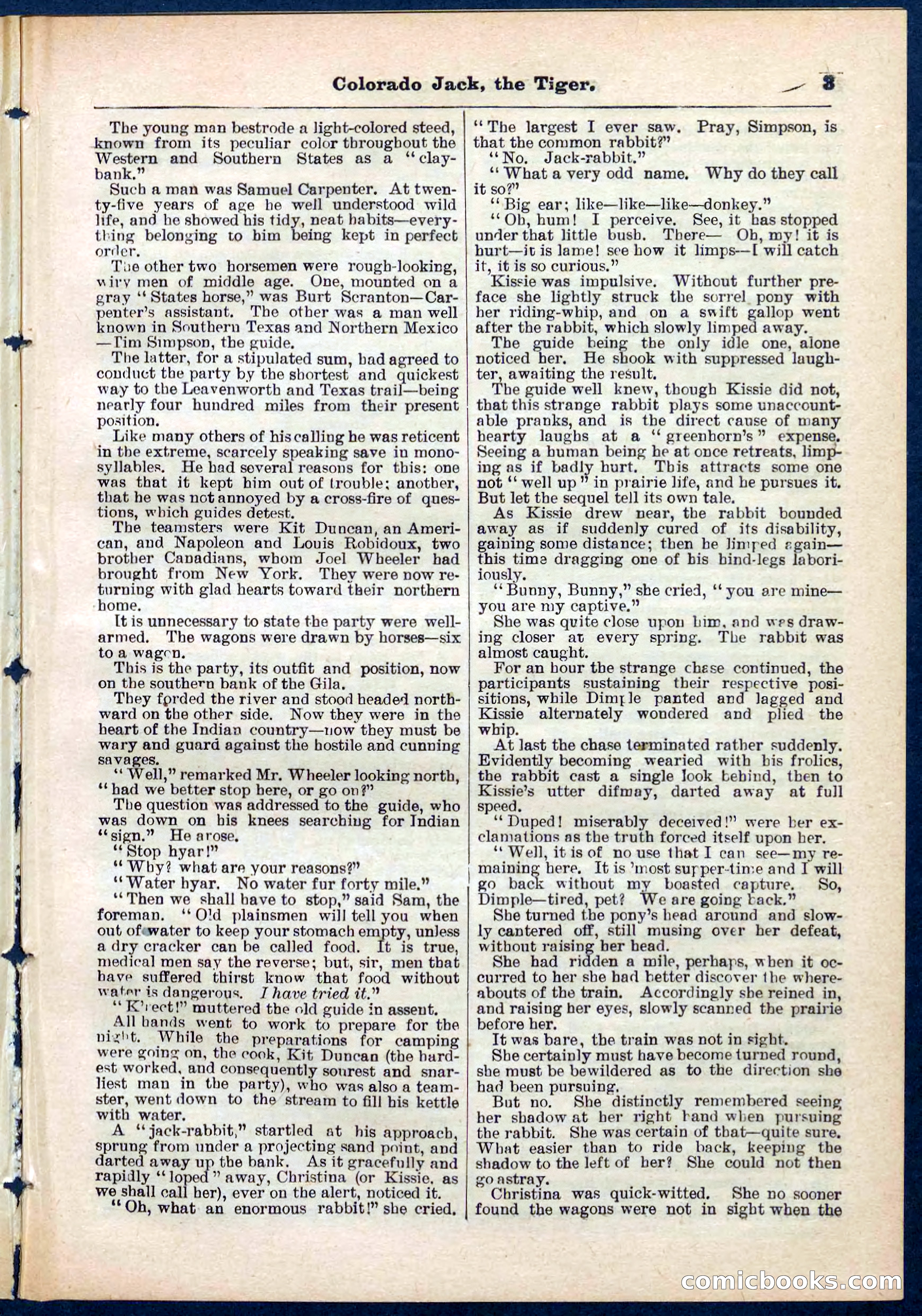 Beadle's Pocket Library No. 279: Colorado Jack the Tiger — page 3 of 32