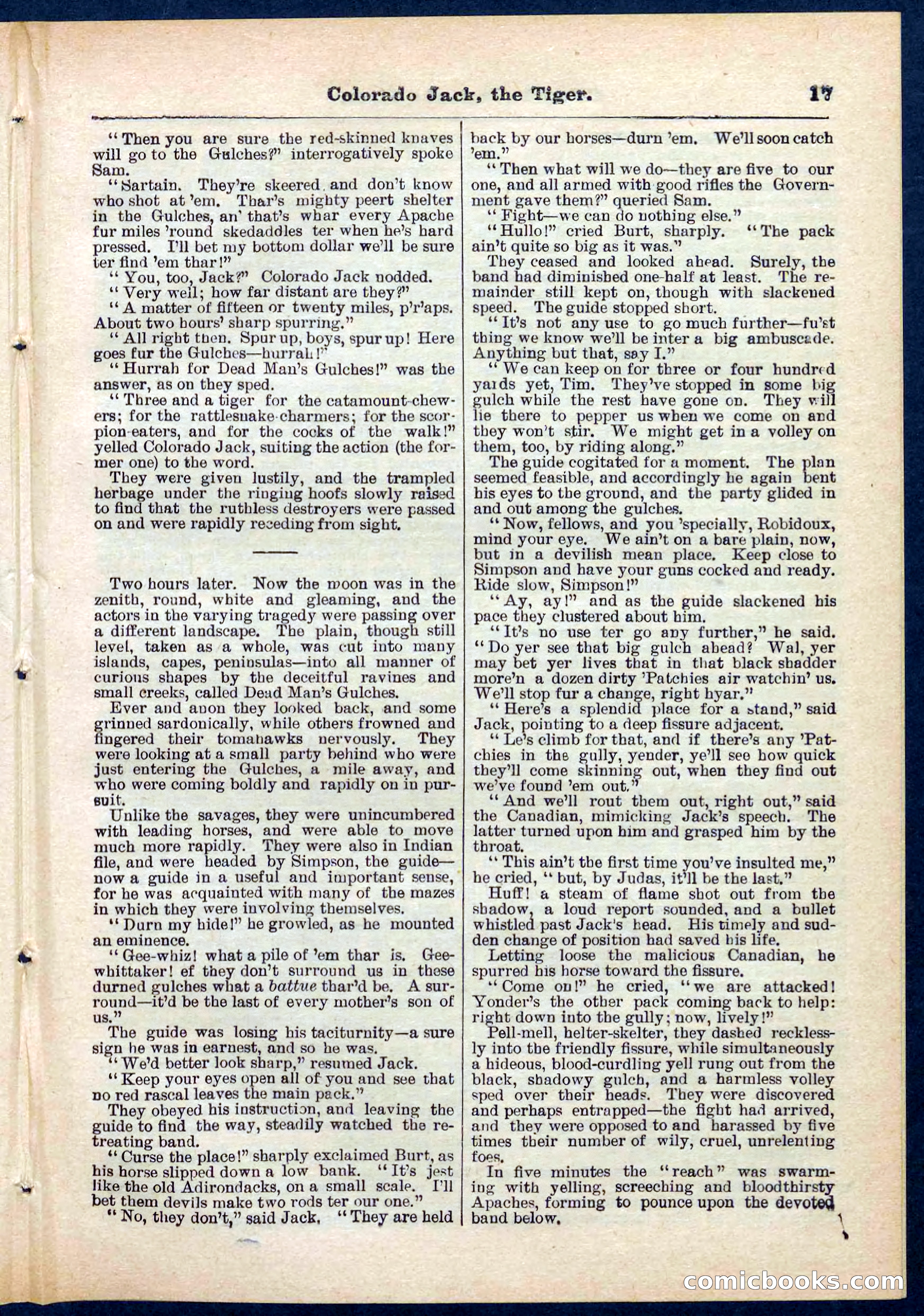 Beadle's Pocket Library No. 279: Colorado Jack the Tiger — page 17 of 32