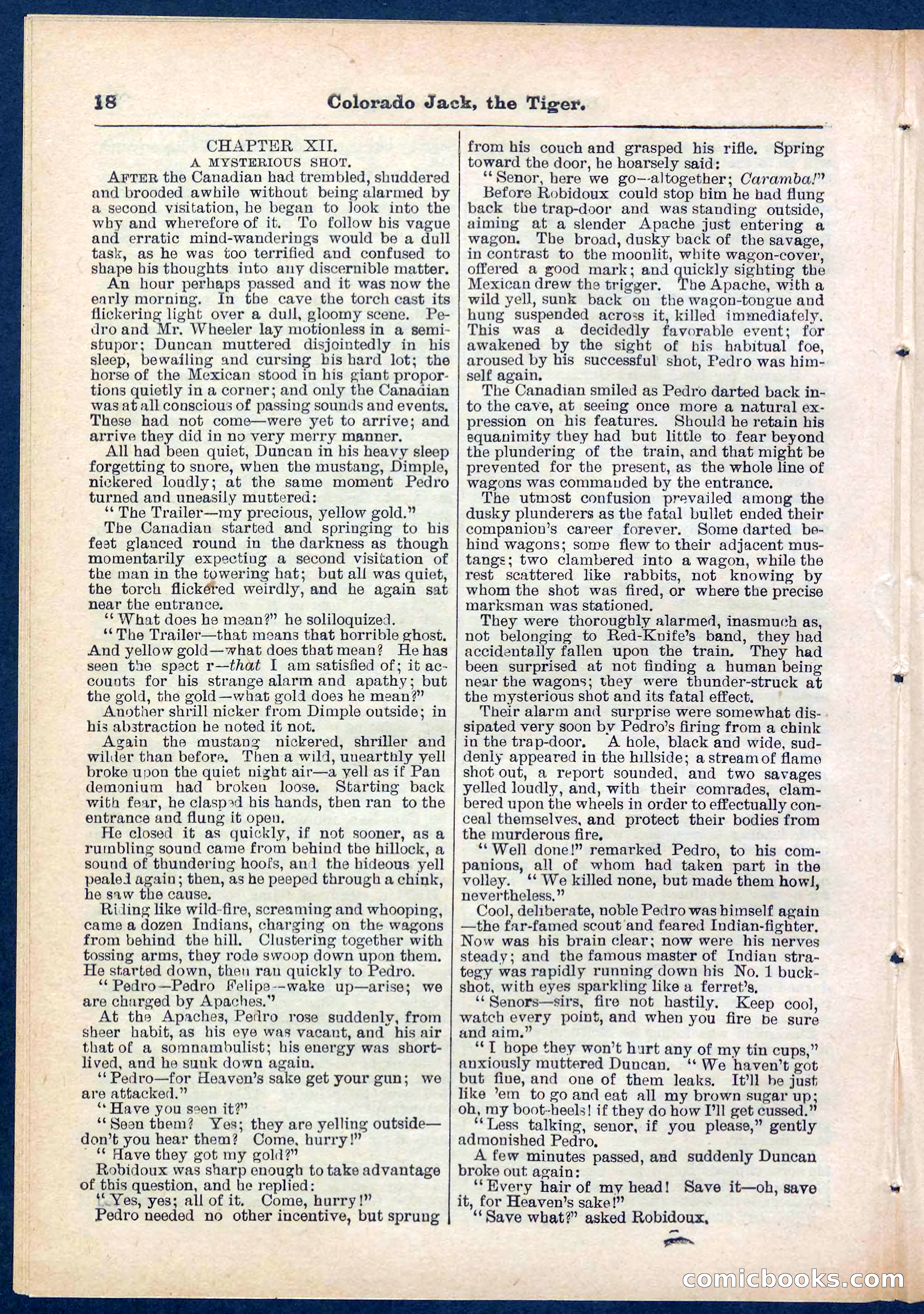 Beadle's Pocket Library No. 279: Colorado Jack the Tiger — page 18 of 32