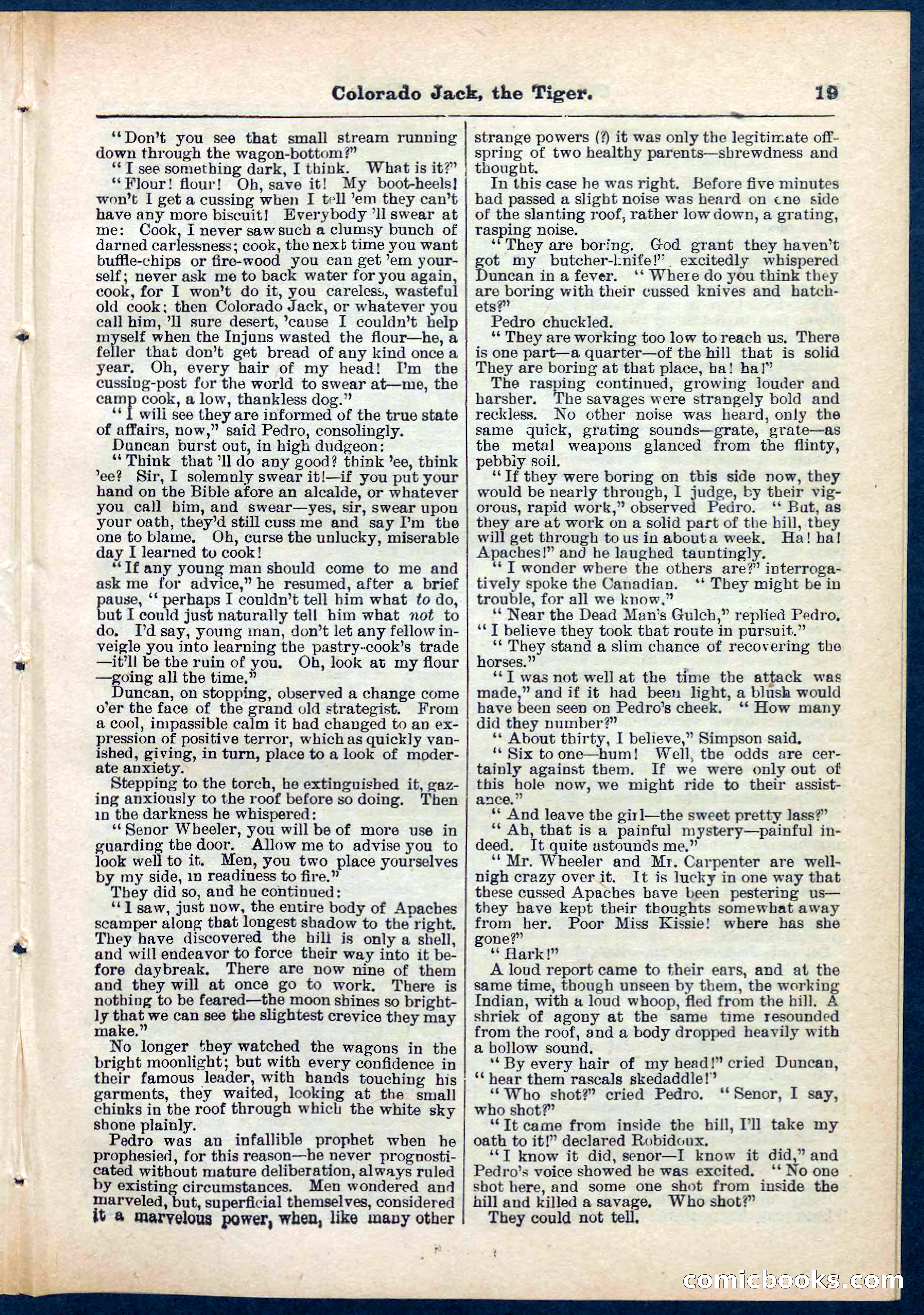Beadle's Pocket Library No. 279: Colorado Jack the Tiger — page 19 of 32