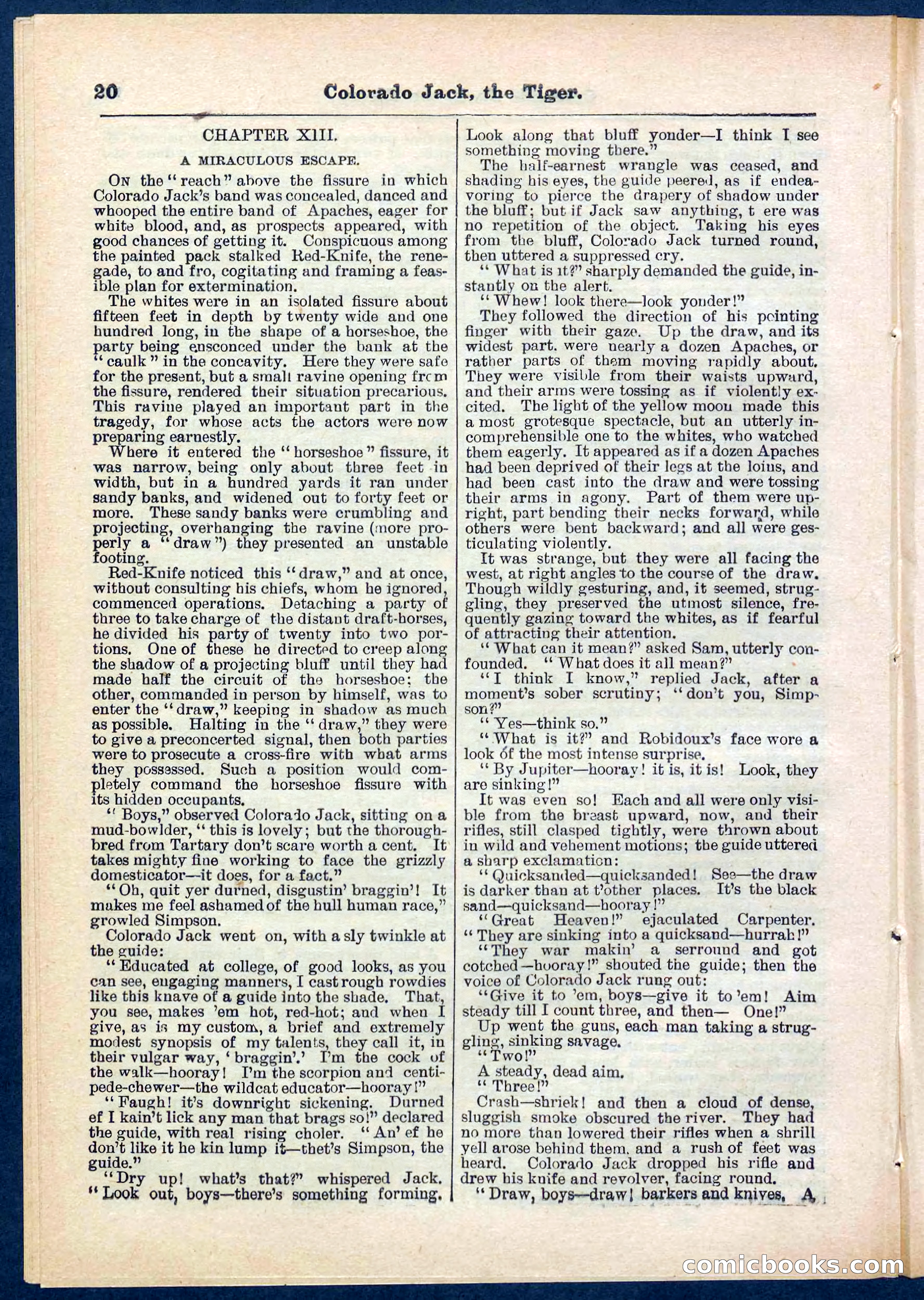 Beadle's Pocket Library No. 279: Colorado Jack the Tiger — page 20 of 32
