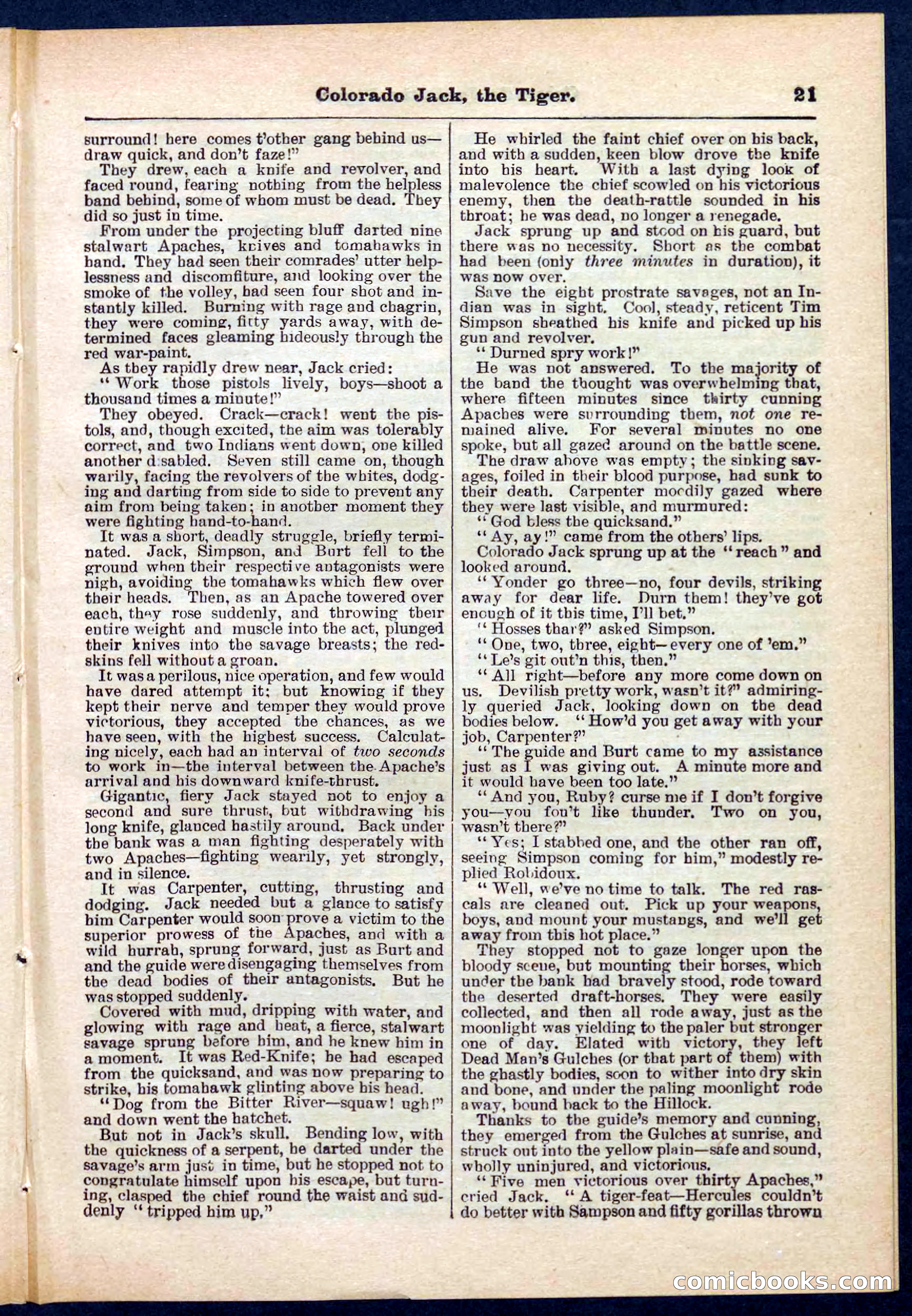 Beadle's Pocket Library No. 279: Colorado Jack the Tiger — page 21 of 32