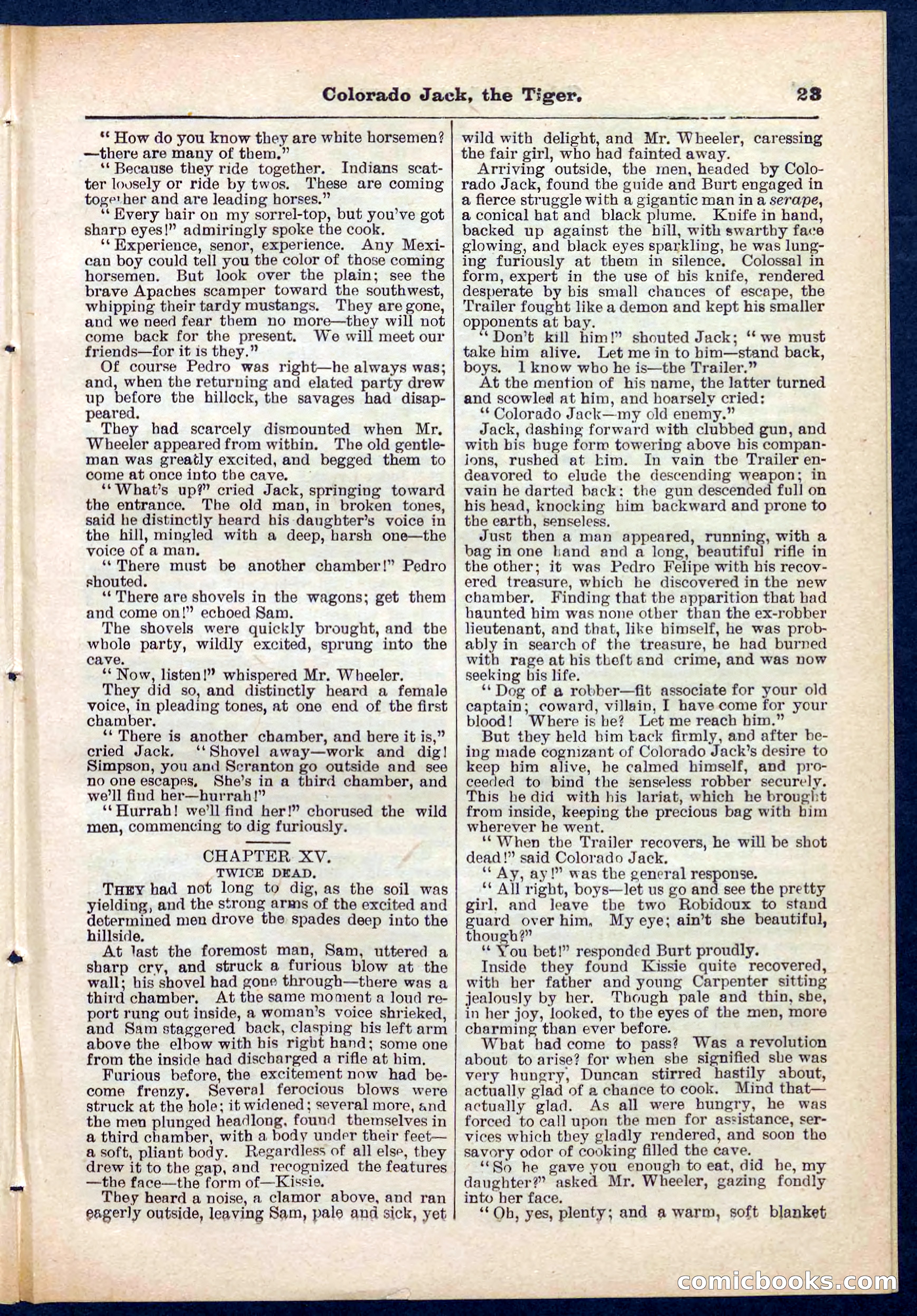 Beadle's Pocket Library No. 279: Colorado Jack the Tiger — page 23 of 32