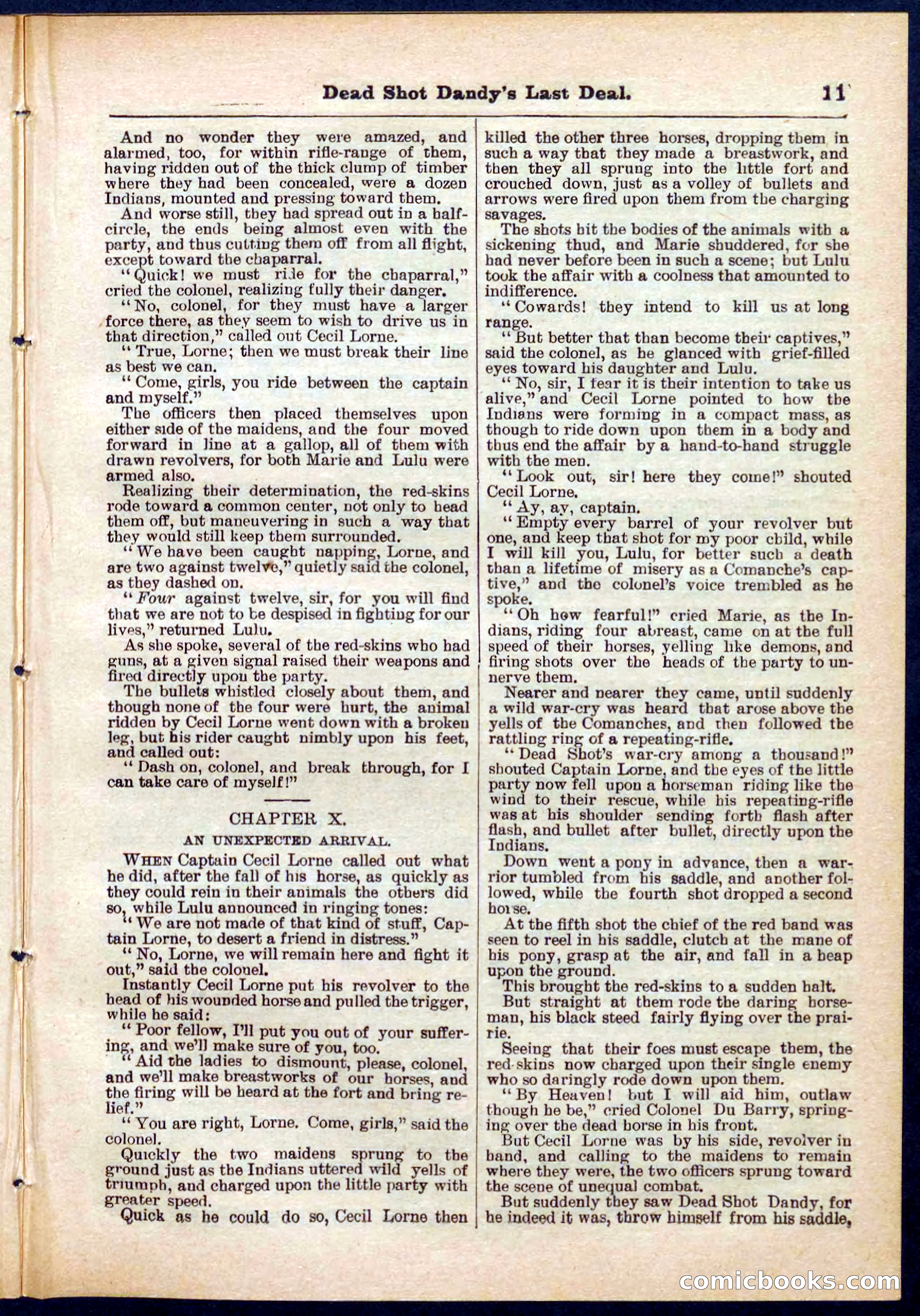 Beadle's Pocket Library No. 280 — page 11 of 32