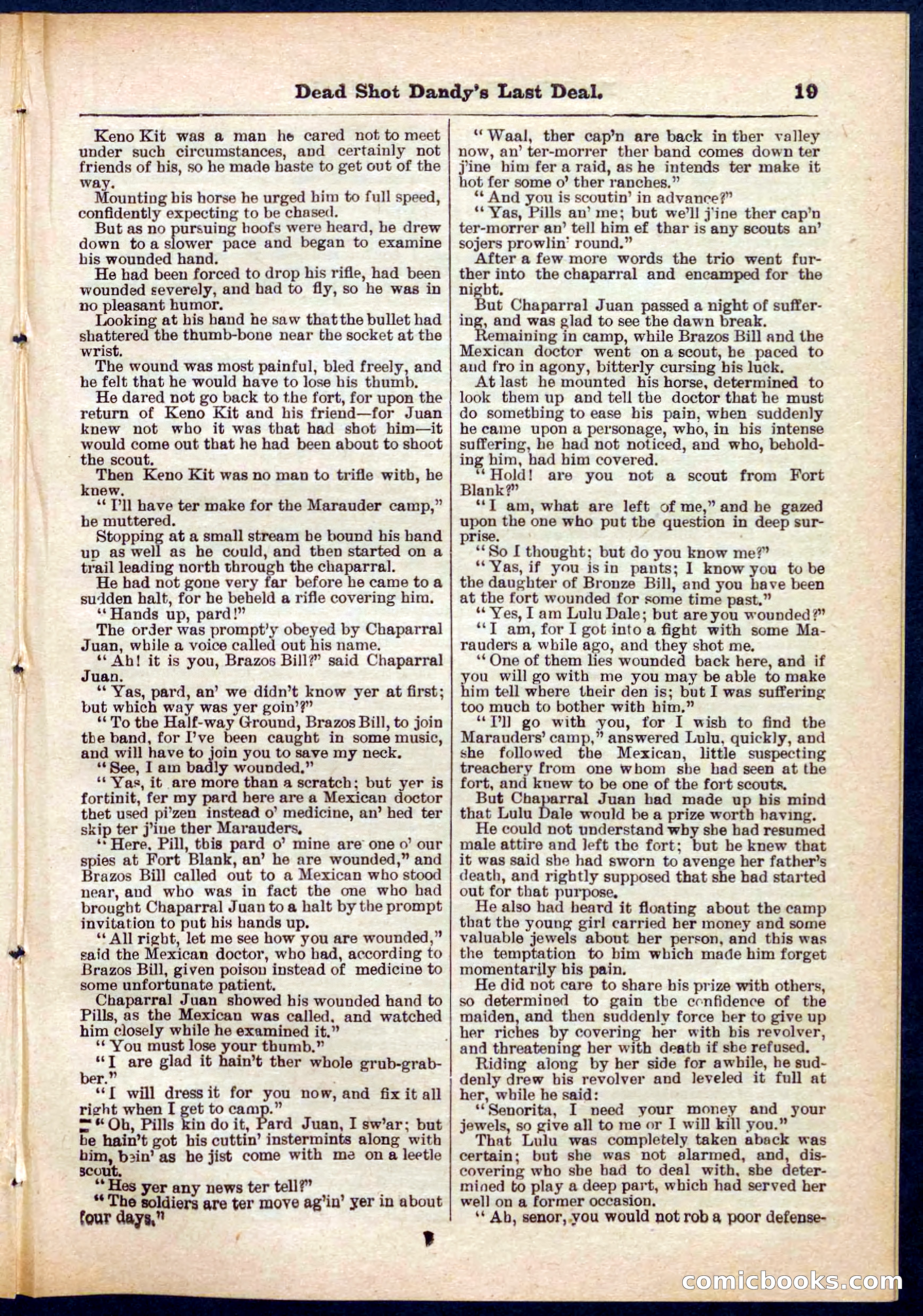 Beadle's Pocket Library No. 280 — page 19 of 32