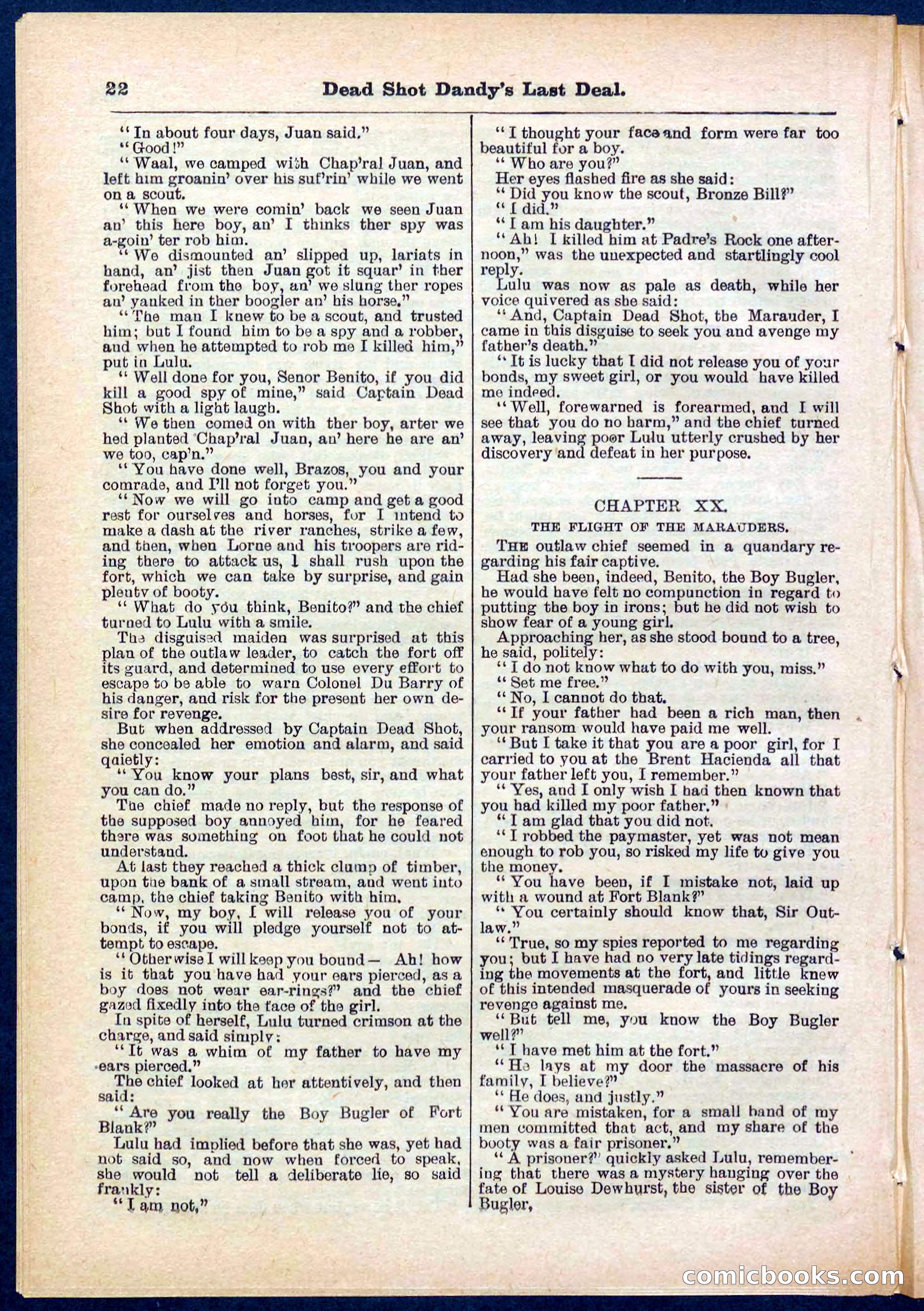 Beadle's Pocket Library No. 280 — page 22 of 32