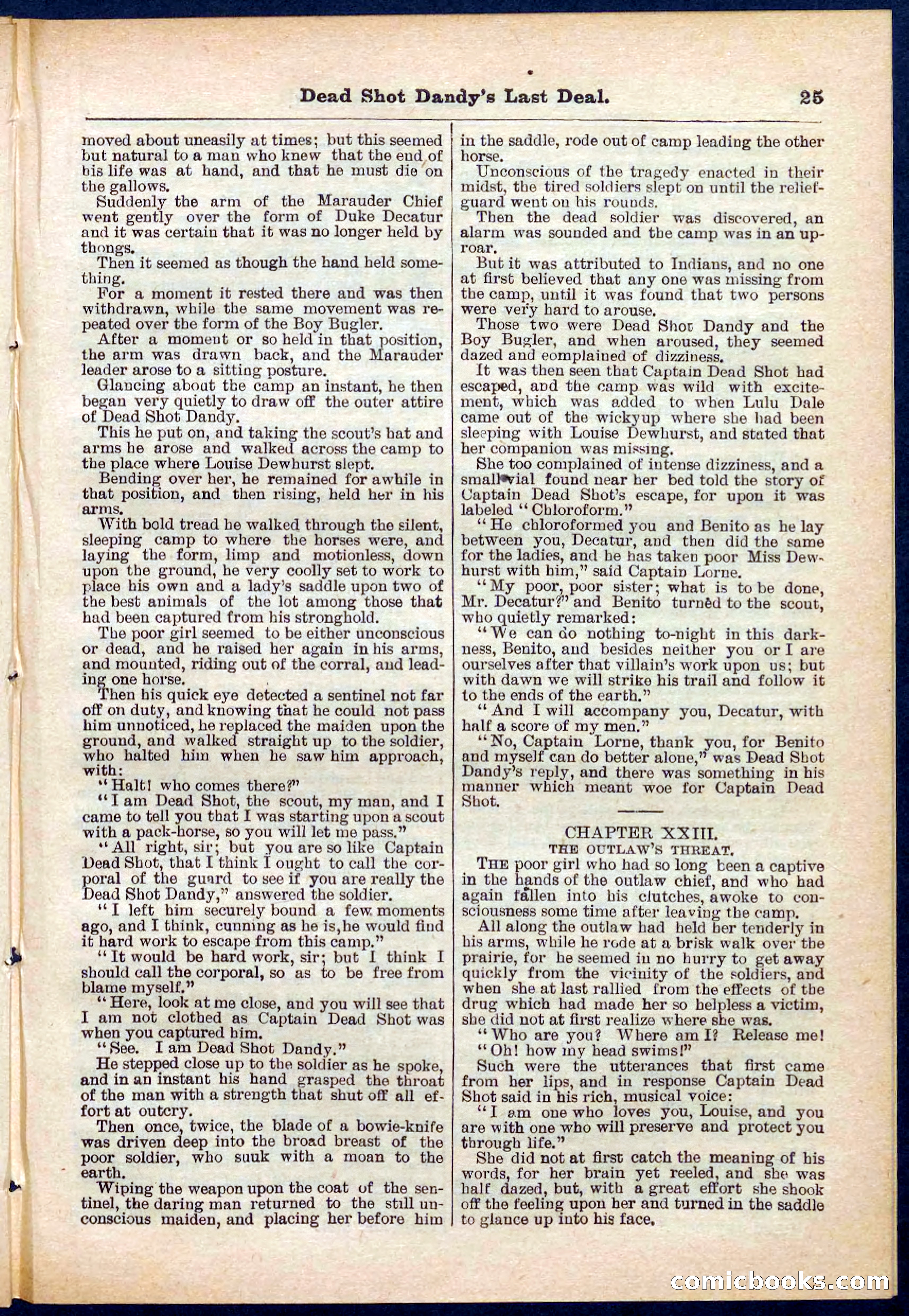 Beadle's Pocket Library No. 280 — page 25 of 32