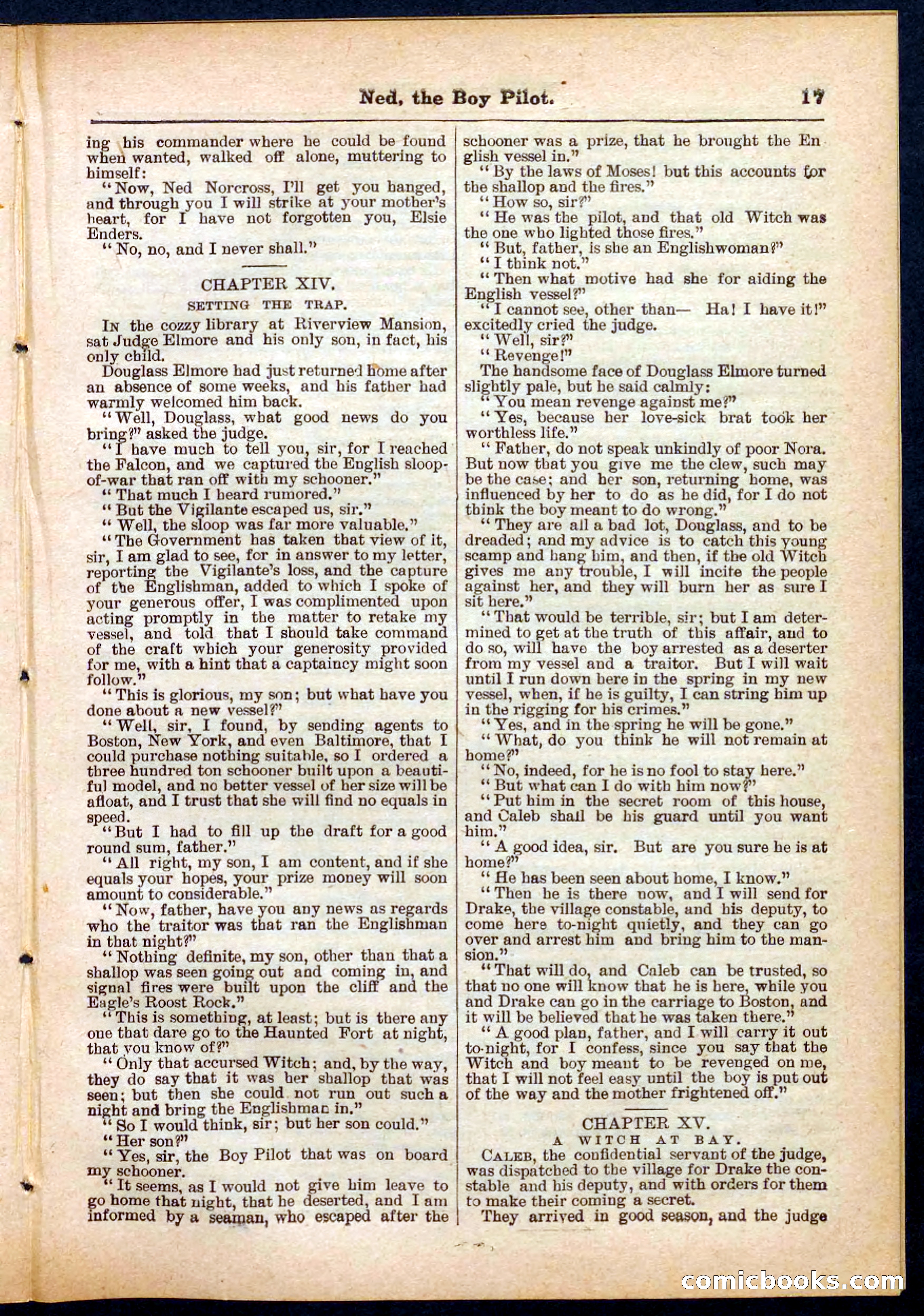Beadle's Pocket Library No. 281 — page 17 of 32