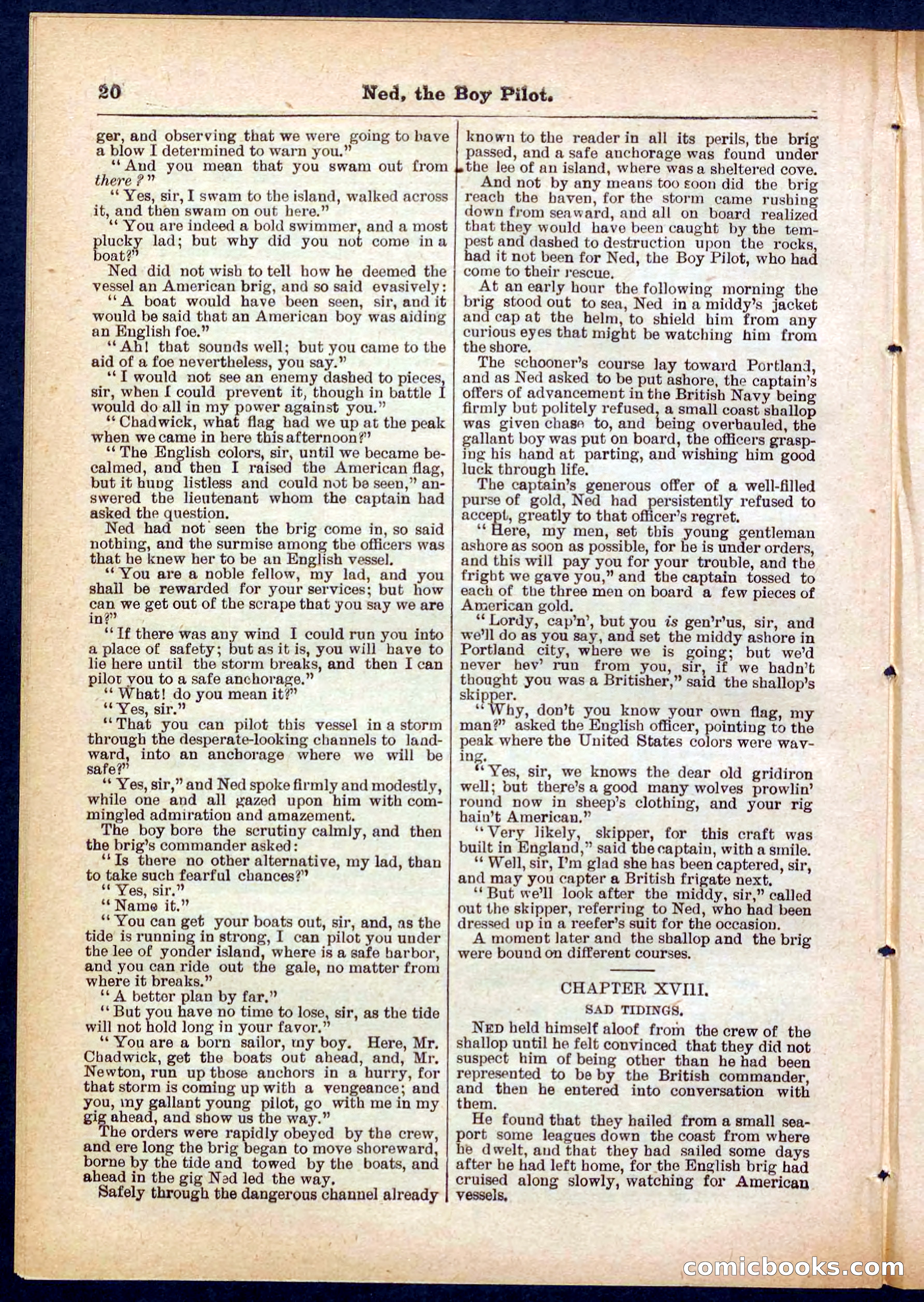 Beadle's Pocket Library No. 281 — page 20 of 32