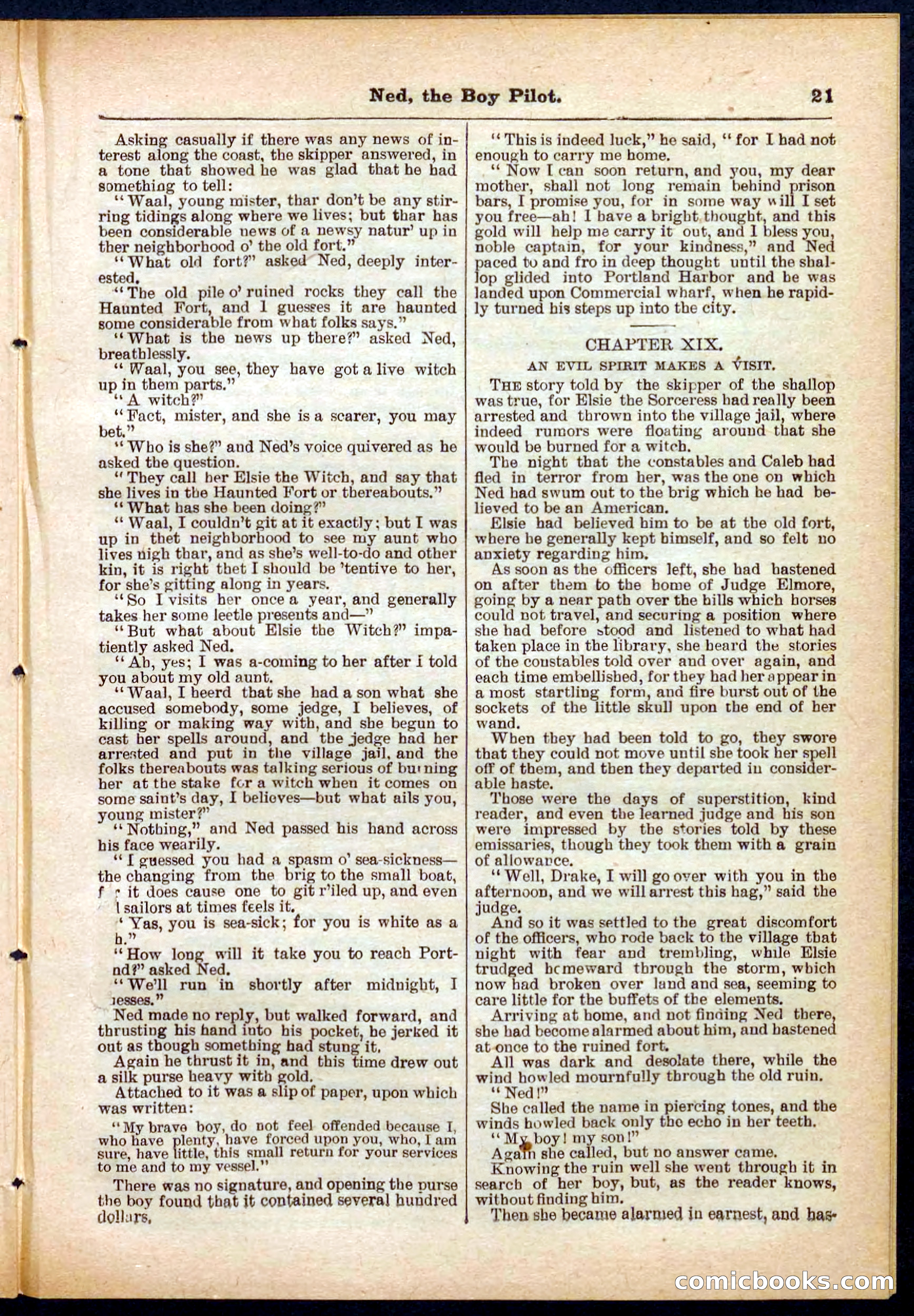 Beadle's Pocket Library No. 281 — page 21 of 32