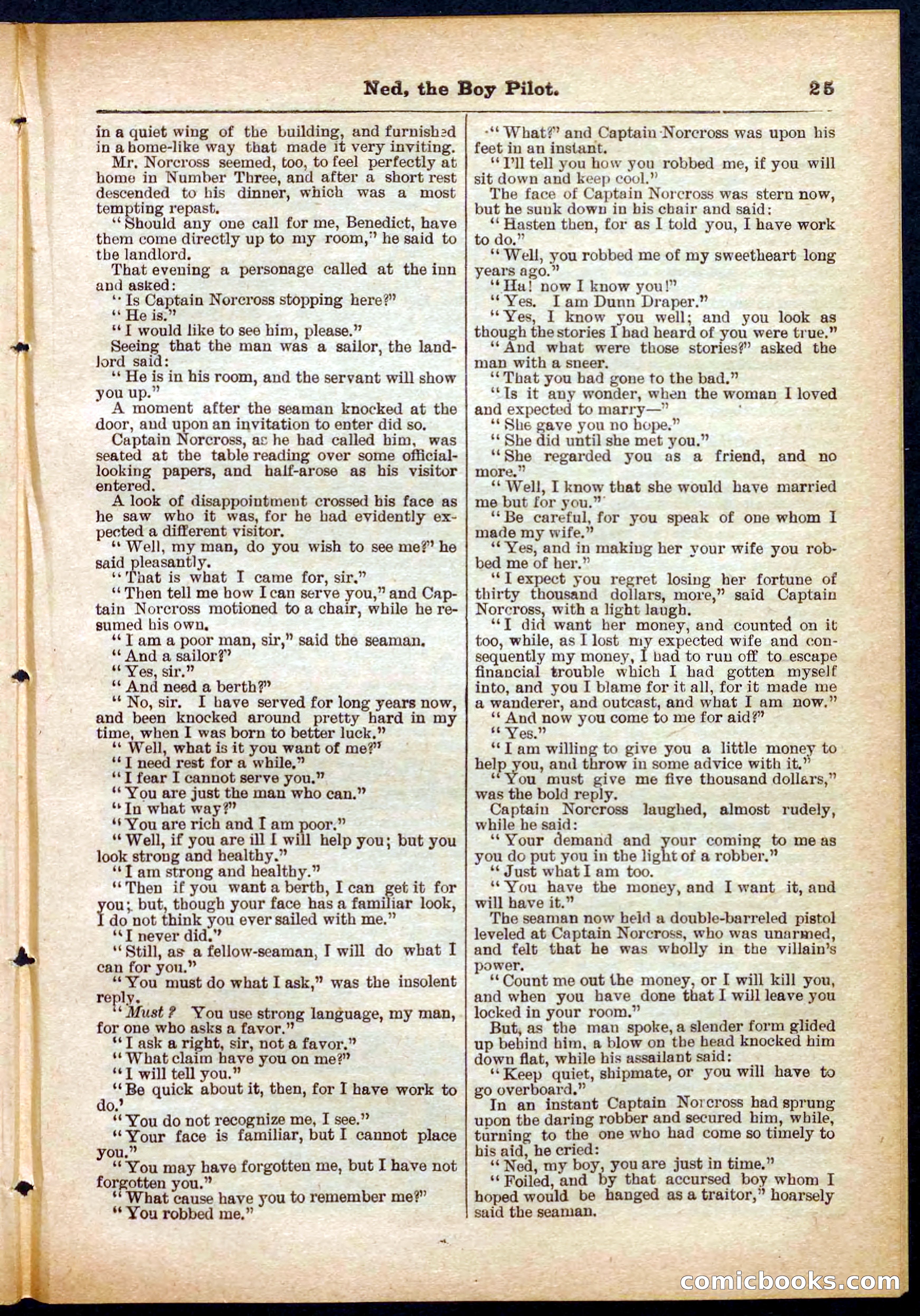 Beadle's Pocket Library No. 281 — page 25 of 32
