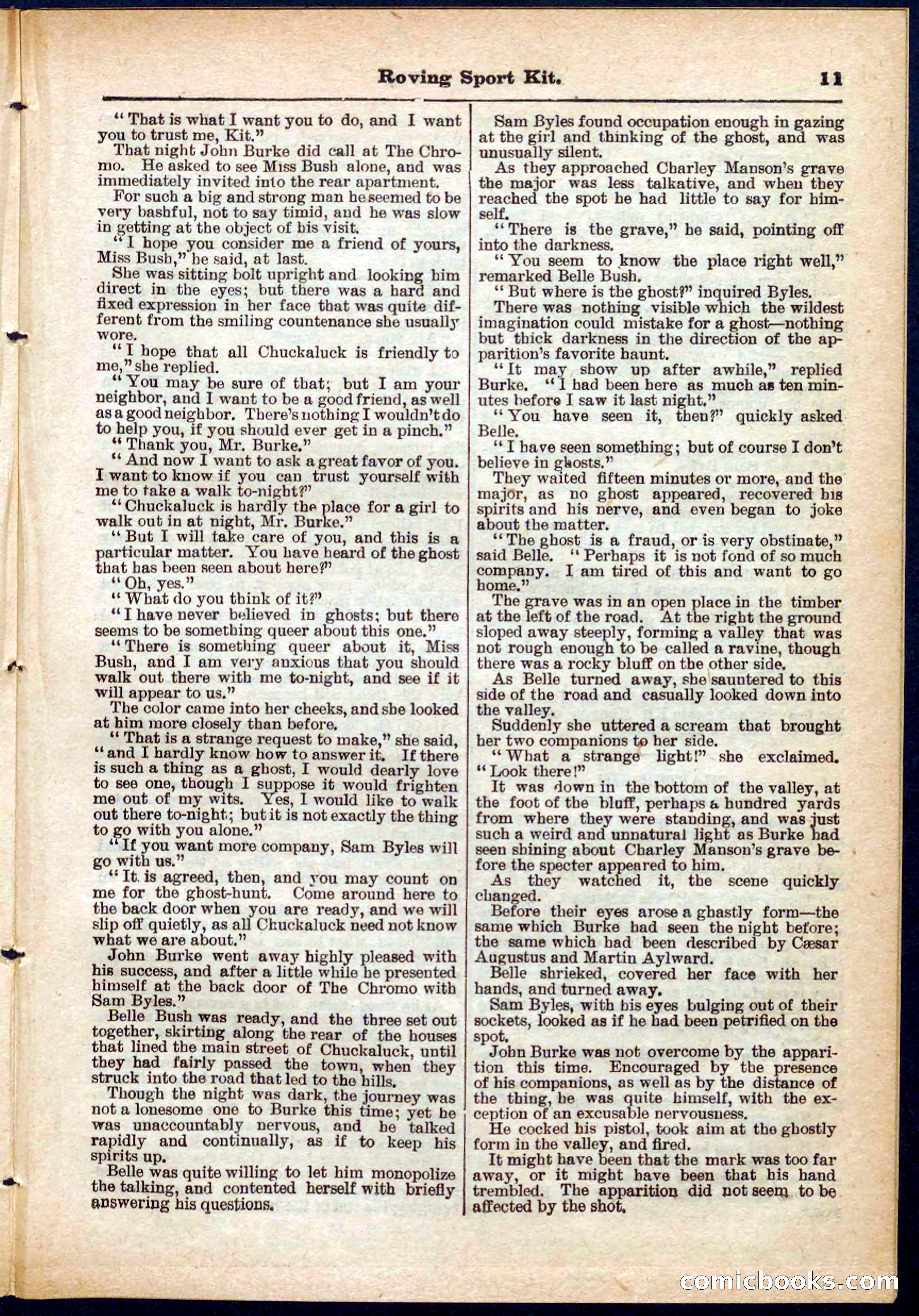 Beadle's Pocket Library No. 283 — page 11 of 32