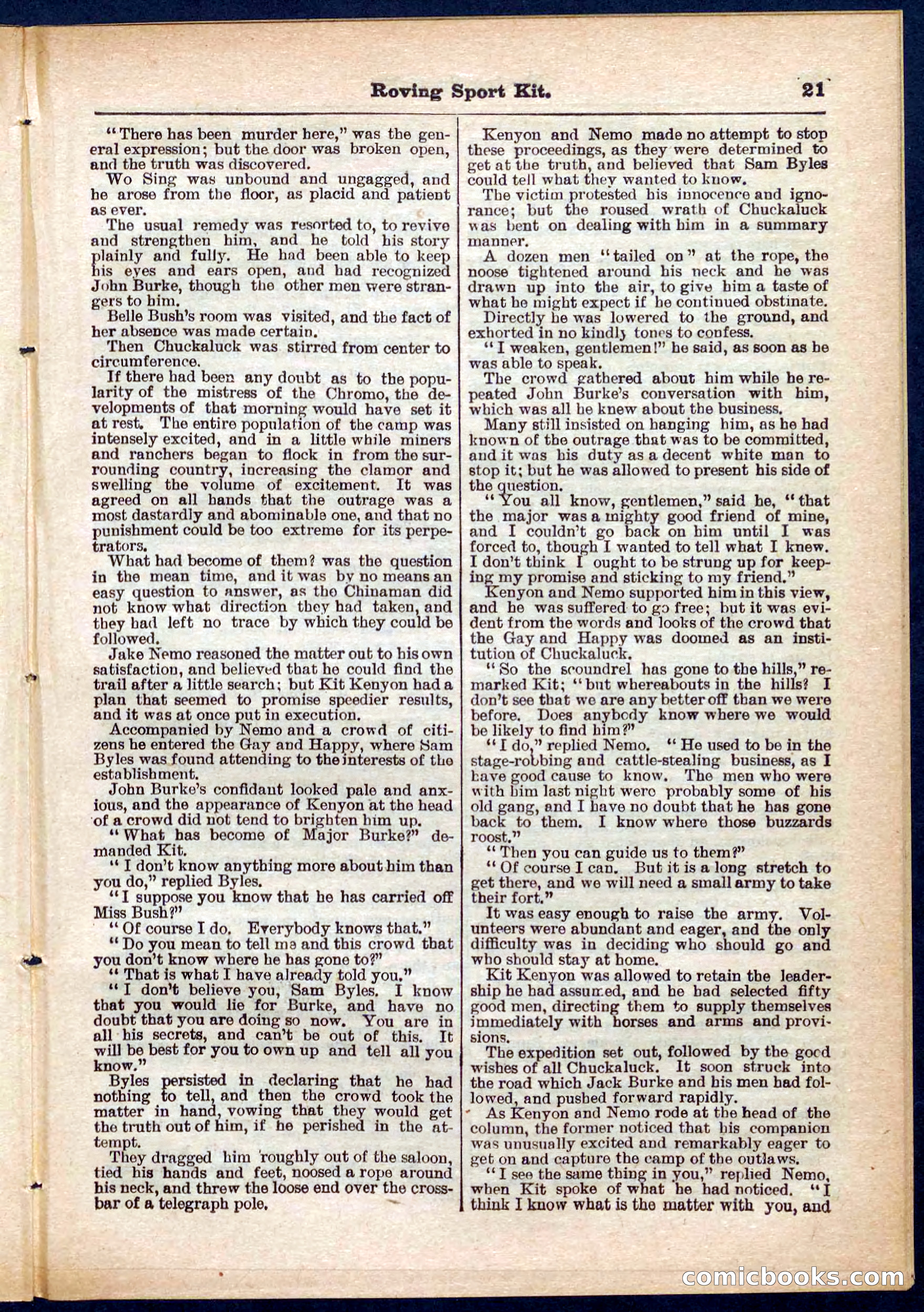 Beadle's Pocket Library No. 283 — page 21 of 32