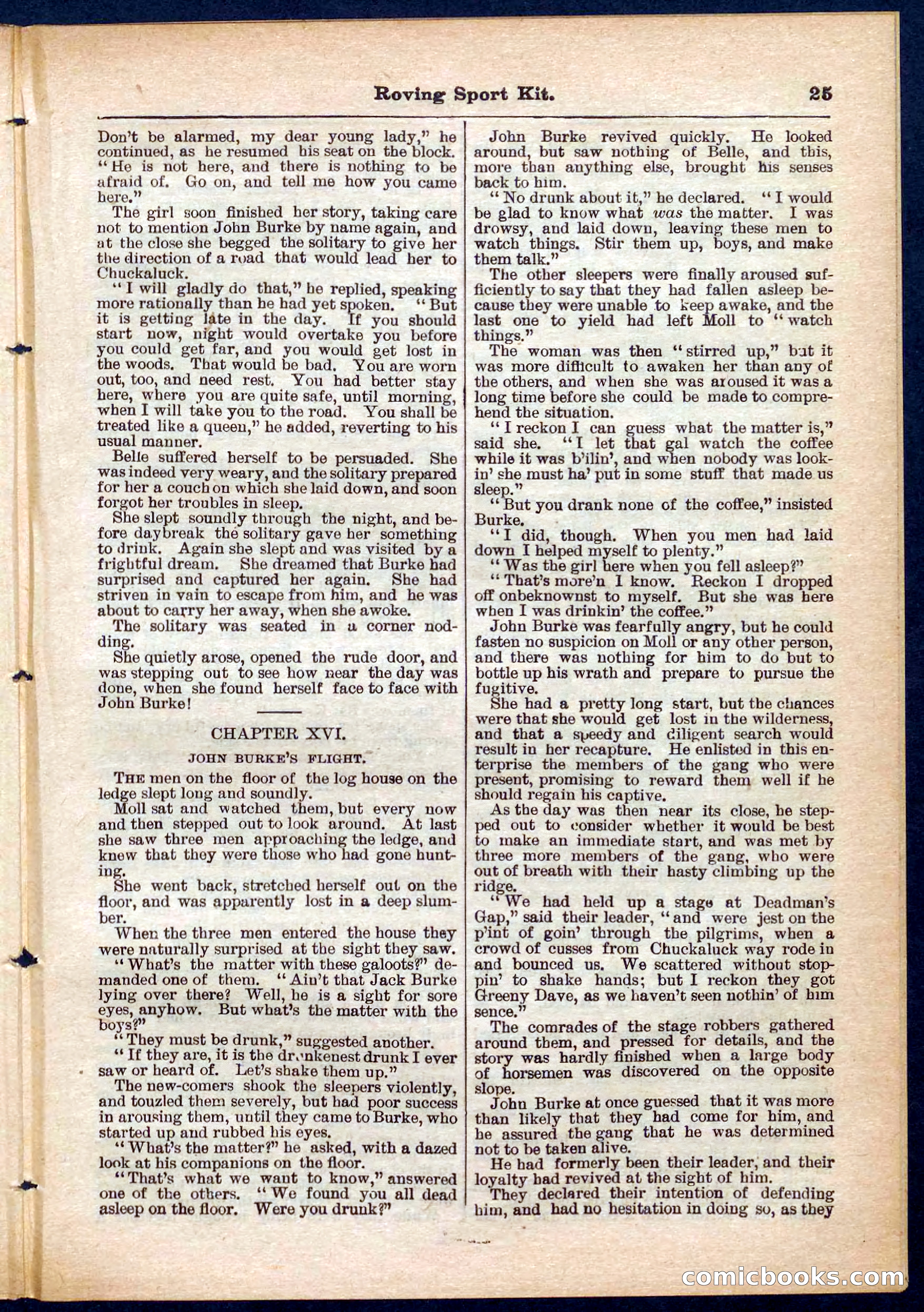 Beadle's Pocket Library No. 283 — page 25 of 32