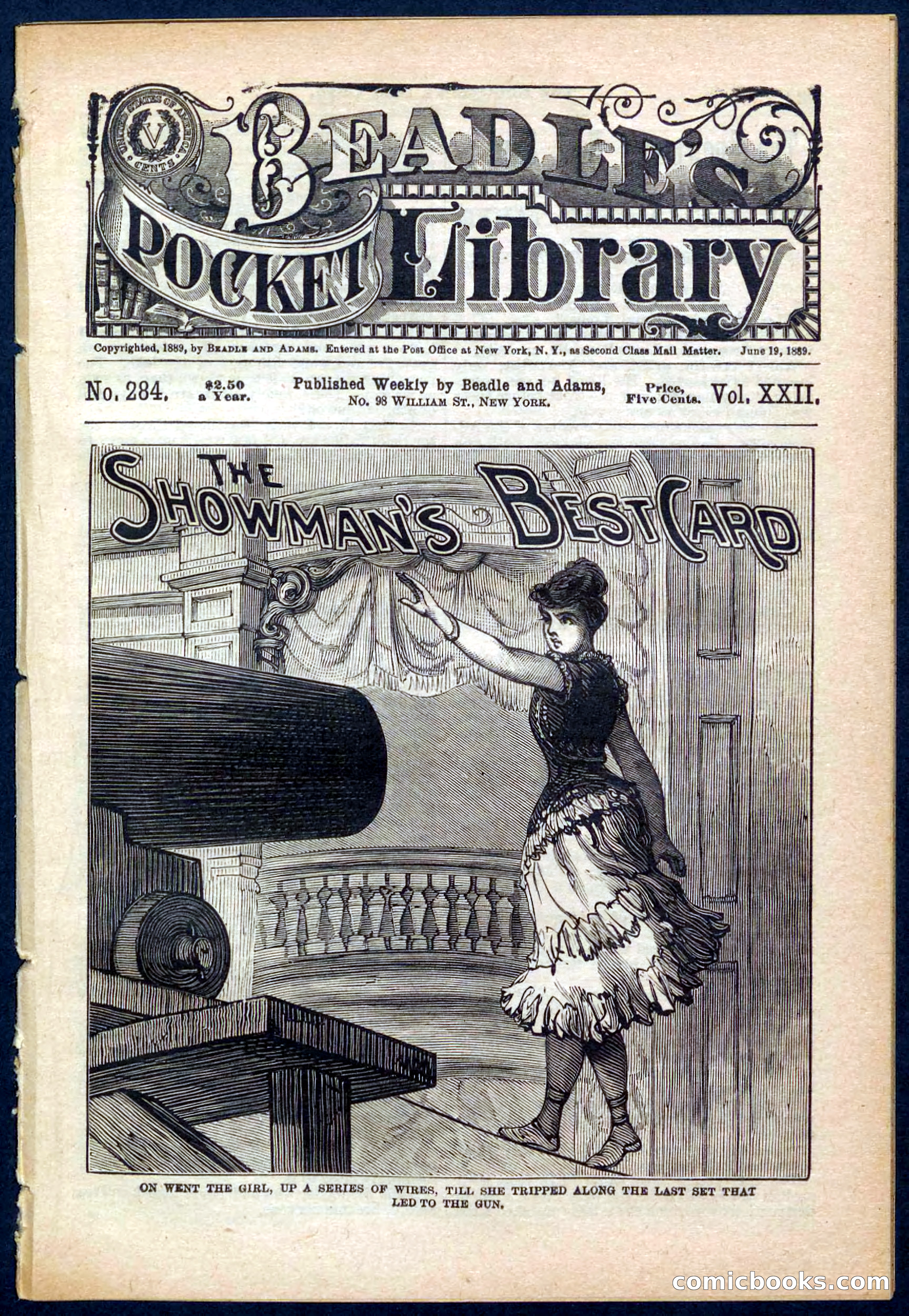 Beadle's Pocket Library No. 284 — page 1 of 48