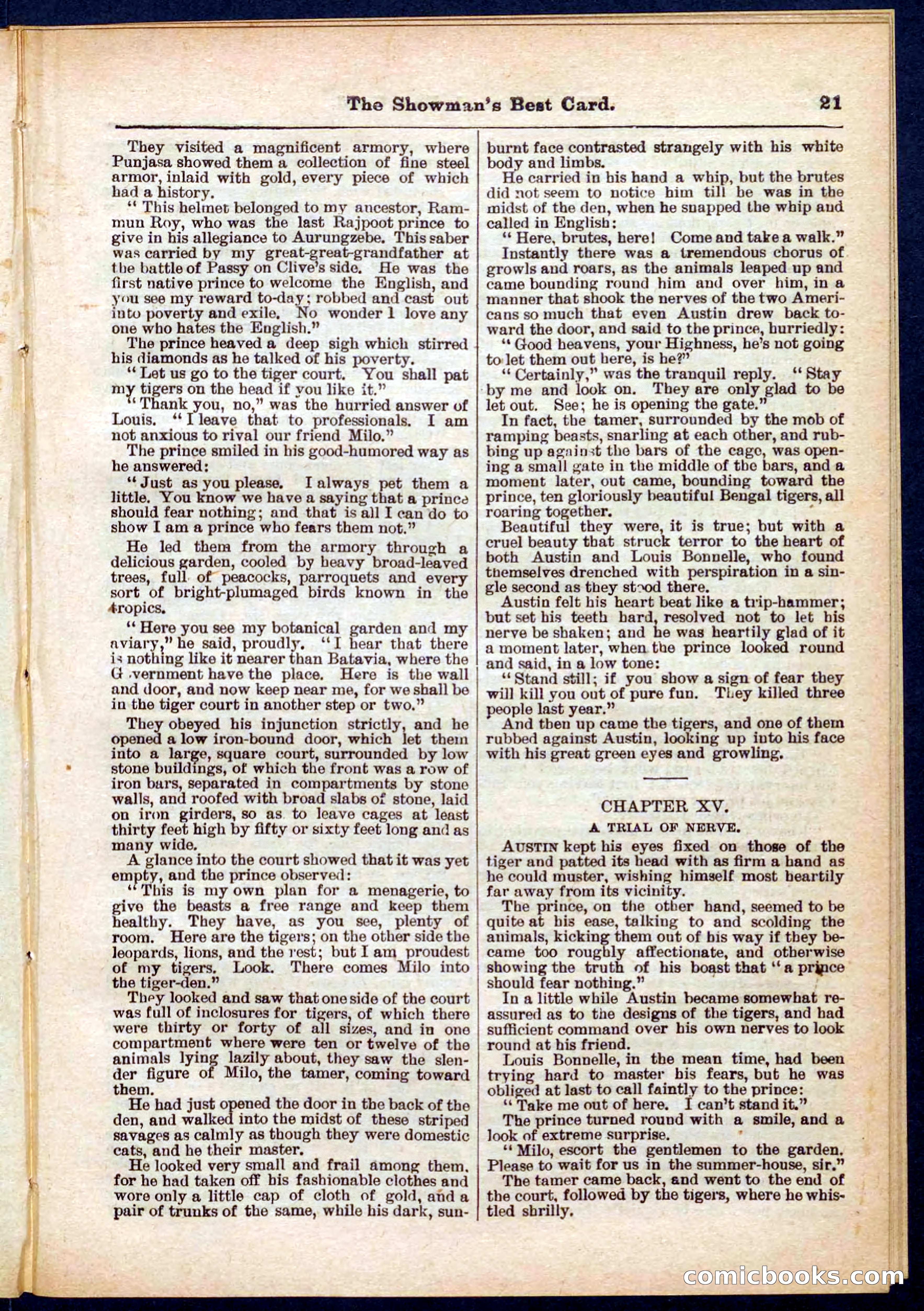 Beadle's Pocket Library No. 284 — page 21 of 48