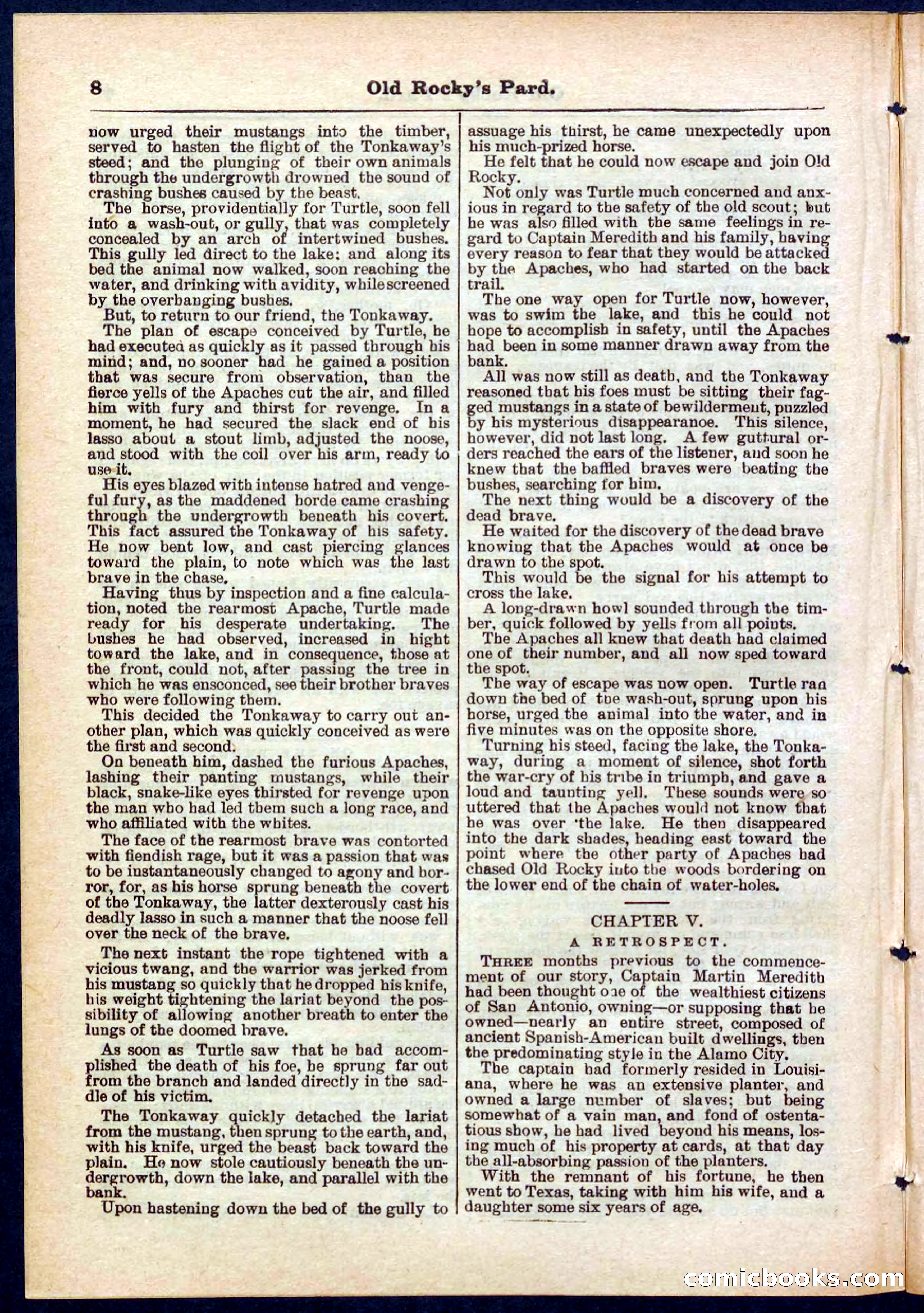 Beadle's Pocket Library No. 285 — page 8 of 32