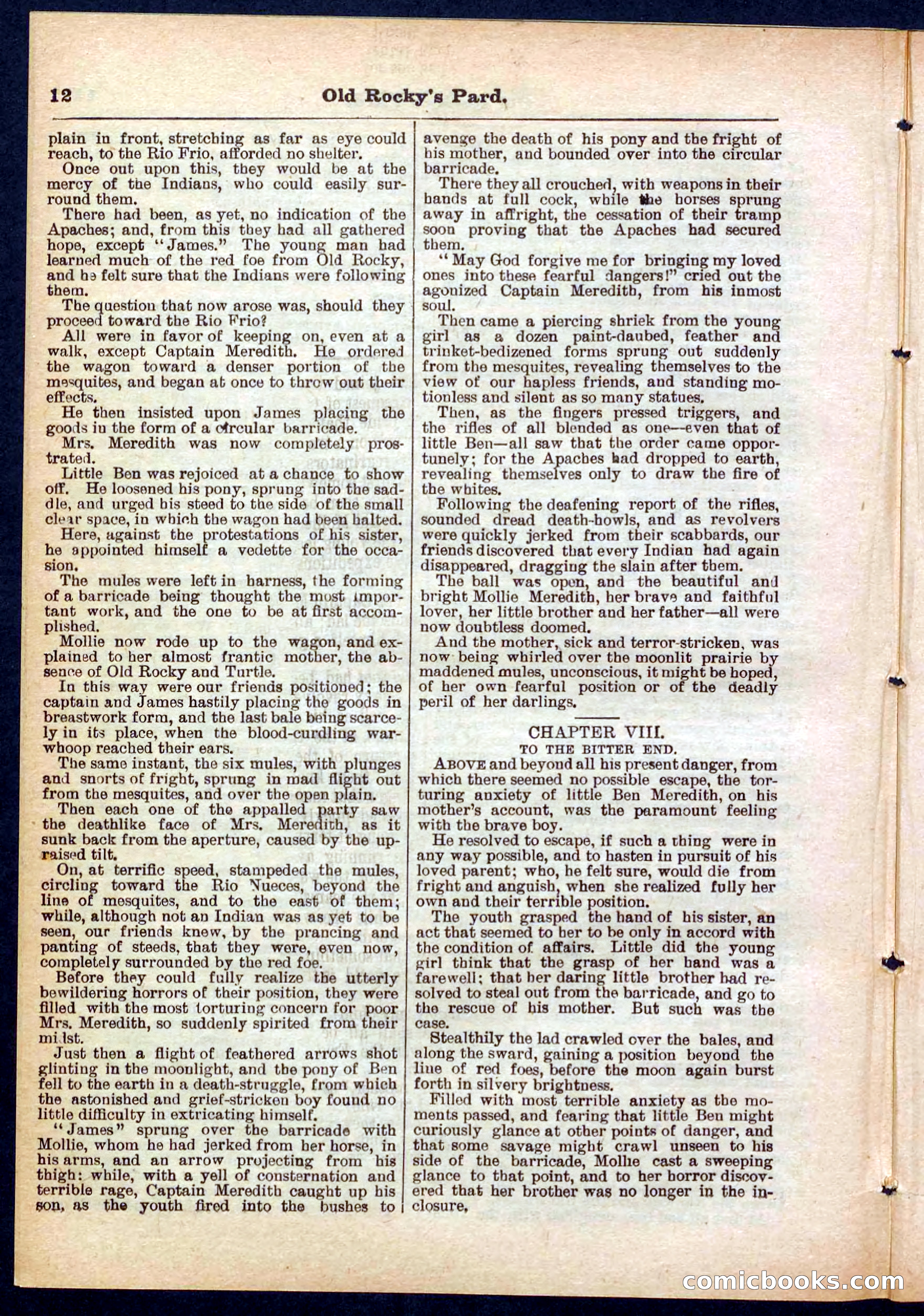 Beadle's Pocket Library No. 285 — page 12 of 32
