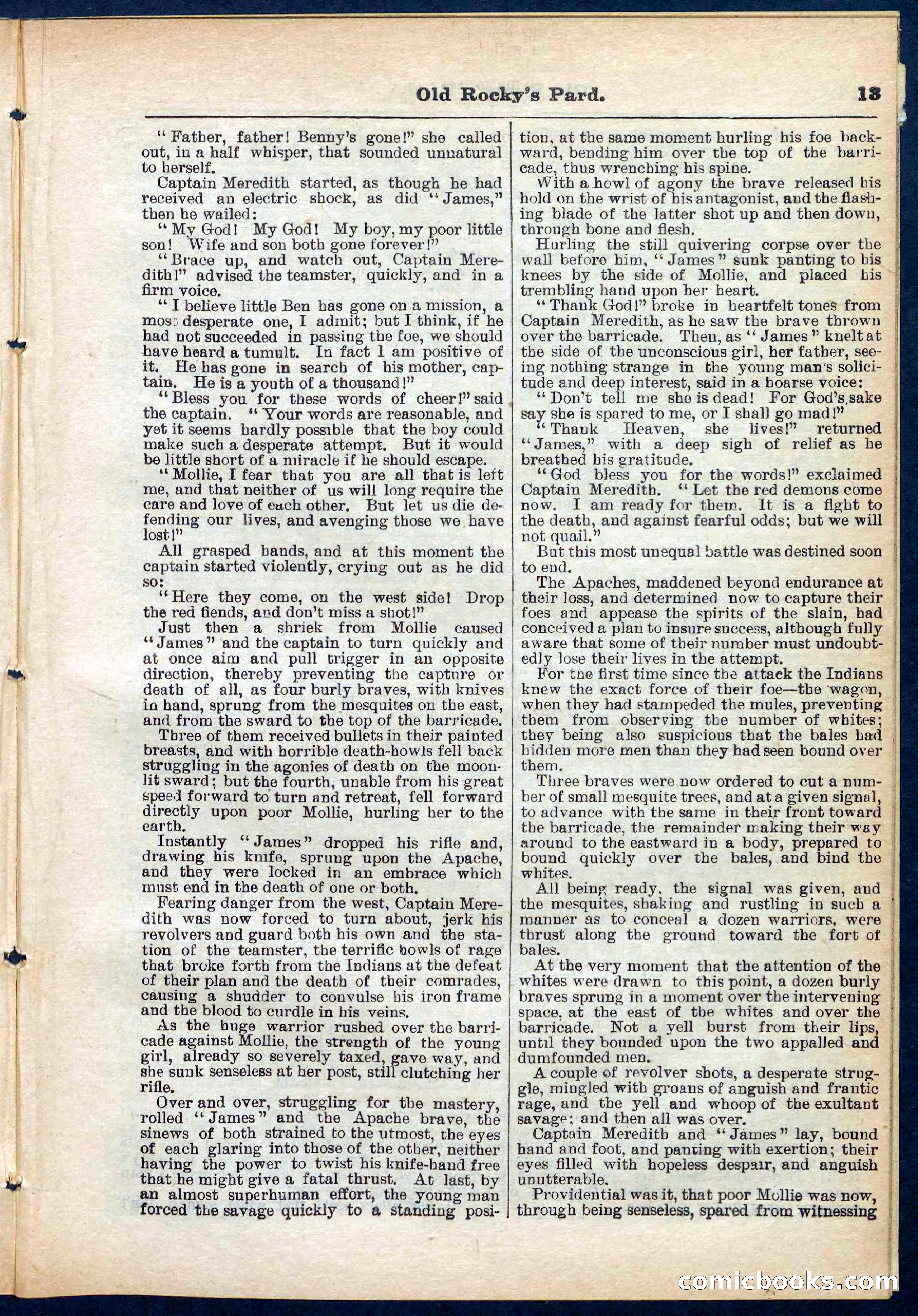 Beadle's Pocket Library No. 285 — page 13 of 32