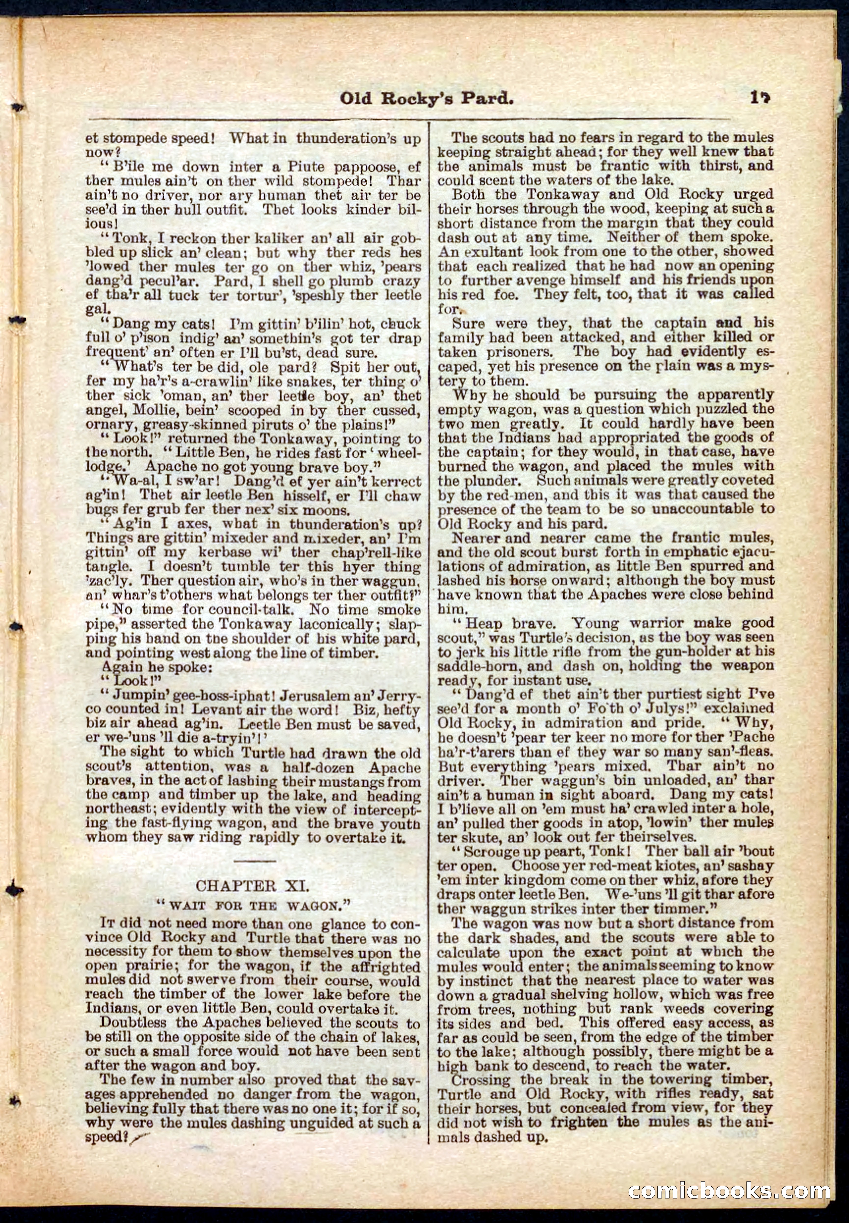 Beadle's Pocket Library No. 285 — page 17 of 32