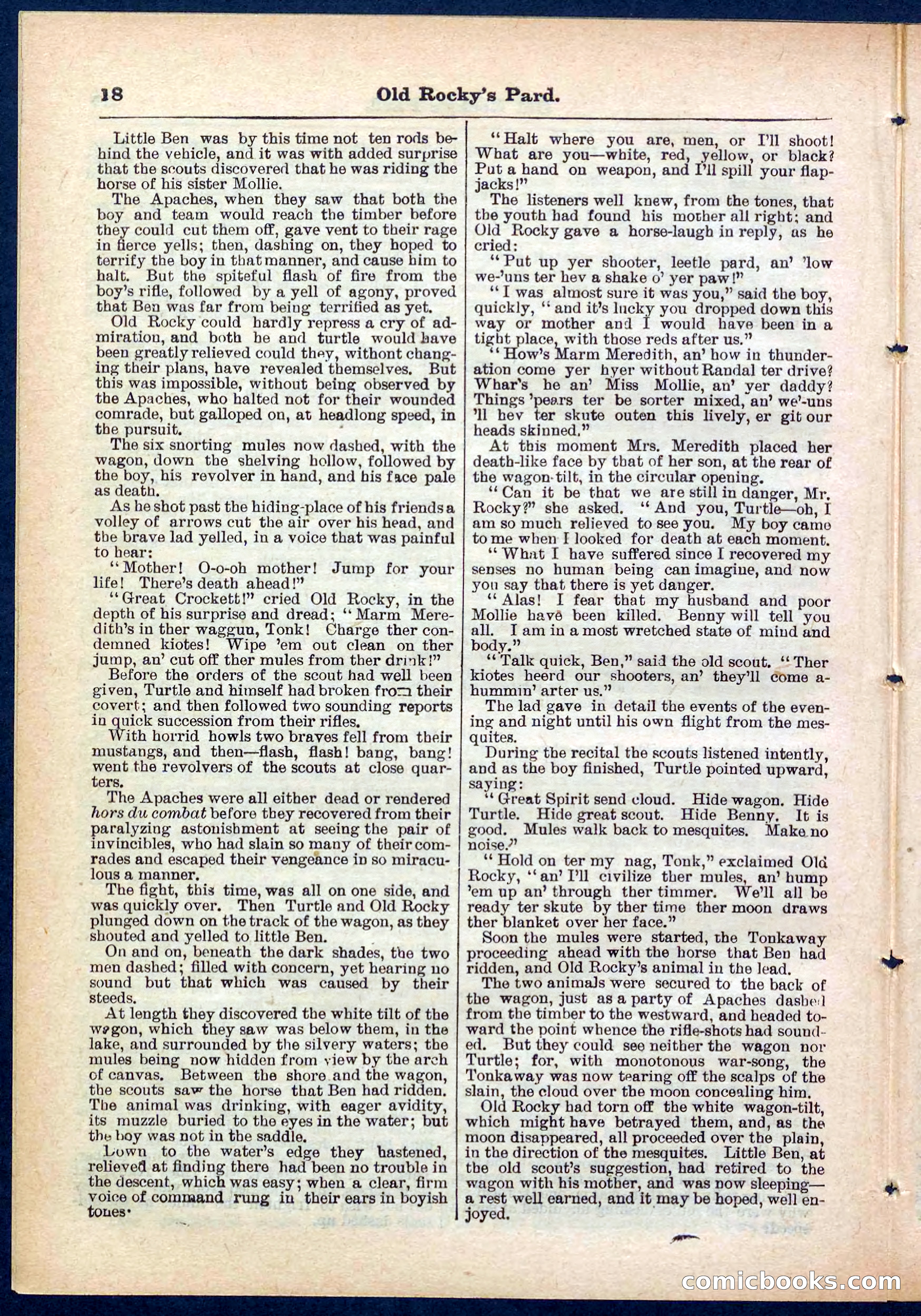 Beadle's Pocket Library No. 285 — page 18 of 32