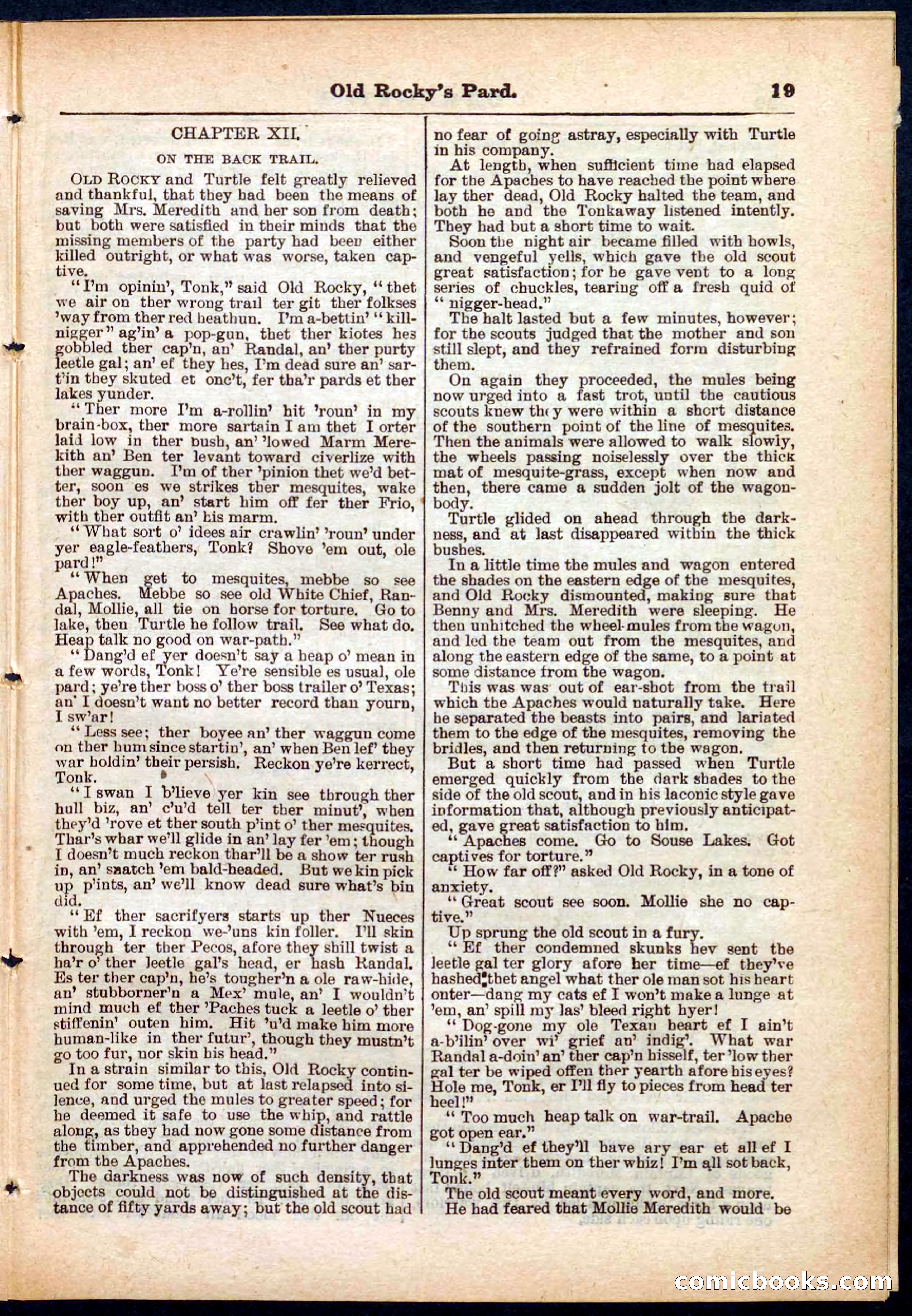 Beadle's Pocket Library No. 285 — page 19 of 32