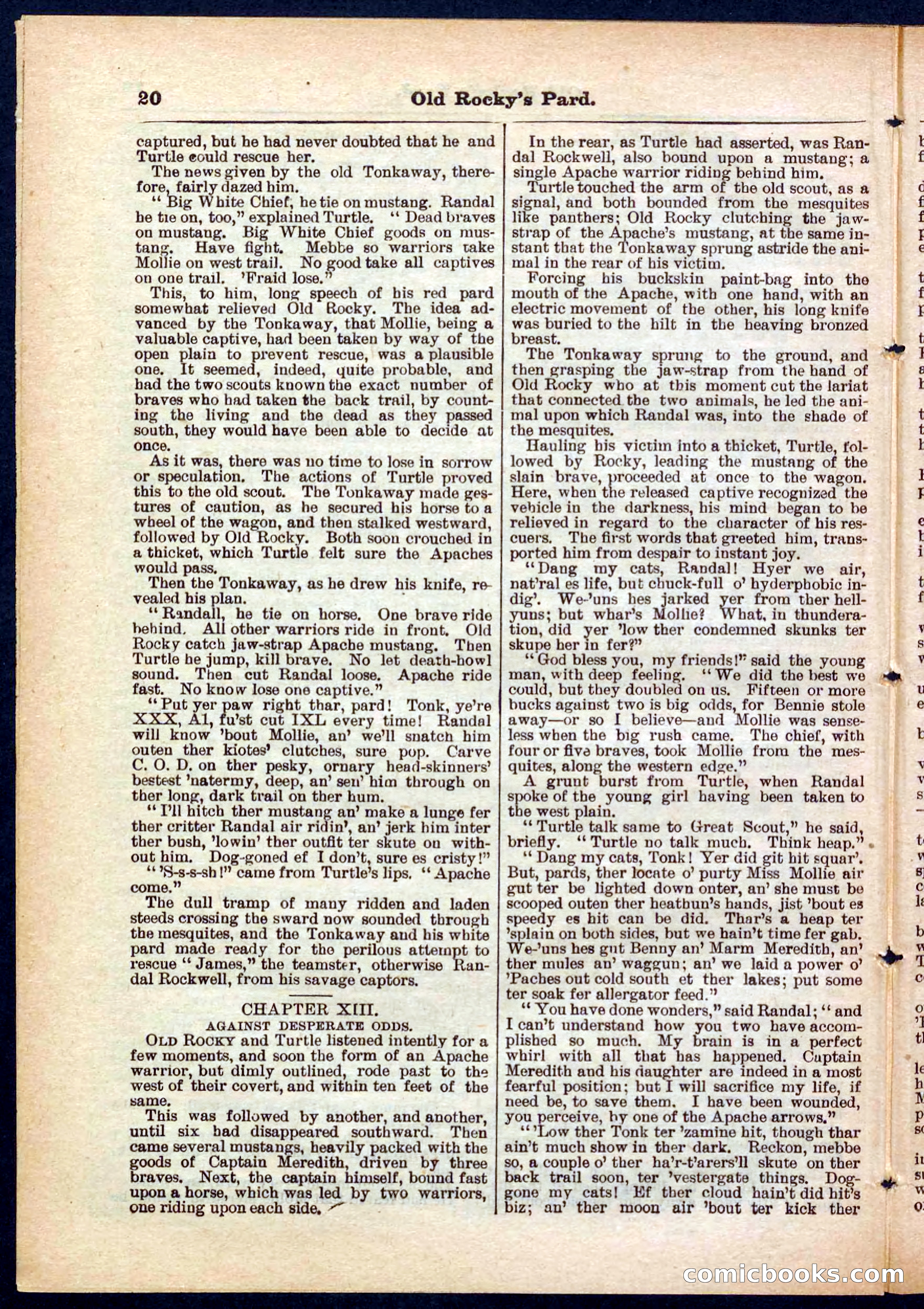 Beadle's Pocket Library No. 285 — page 20 of 32