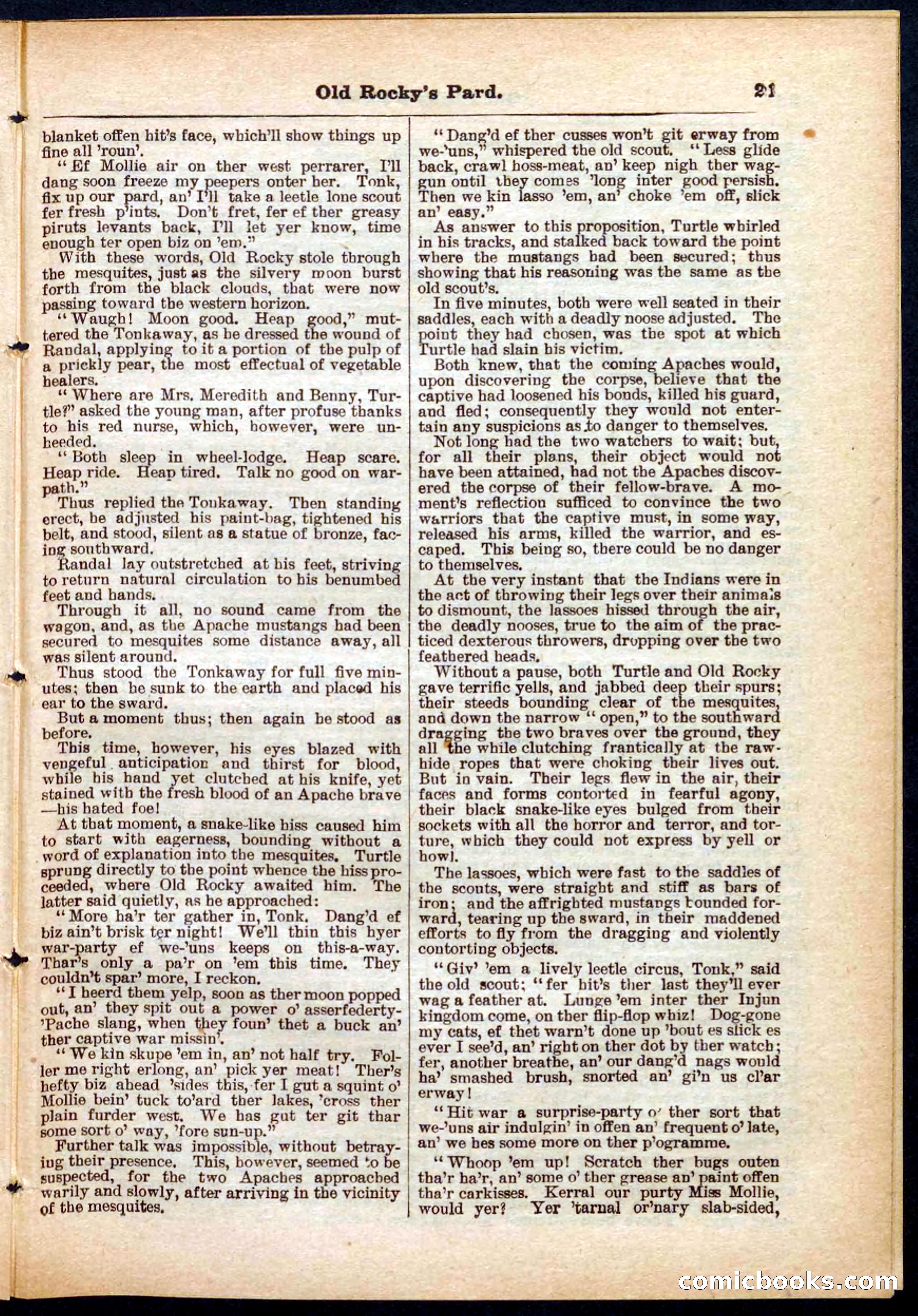 Beadle's Pocket Library No. 285 — page 21 of 32