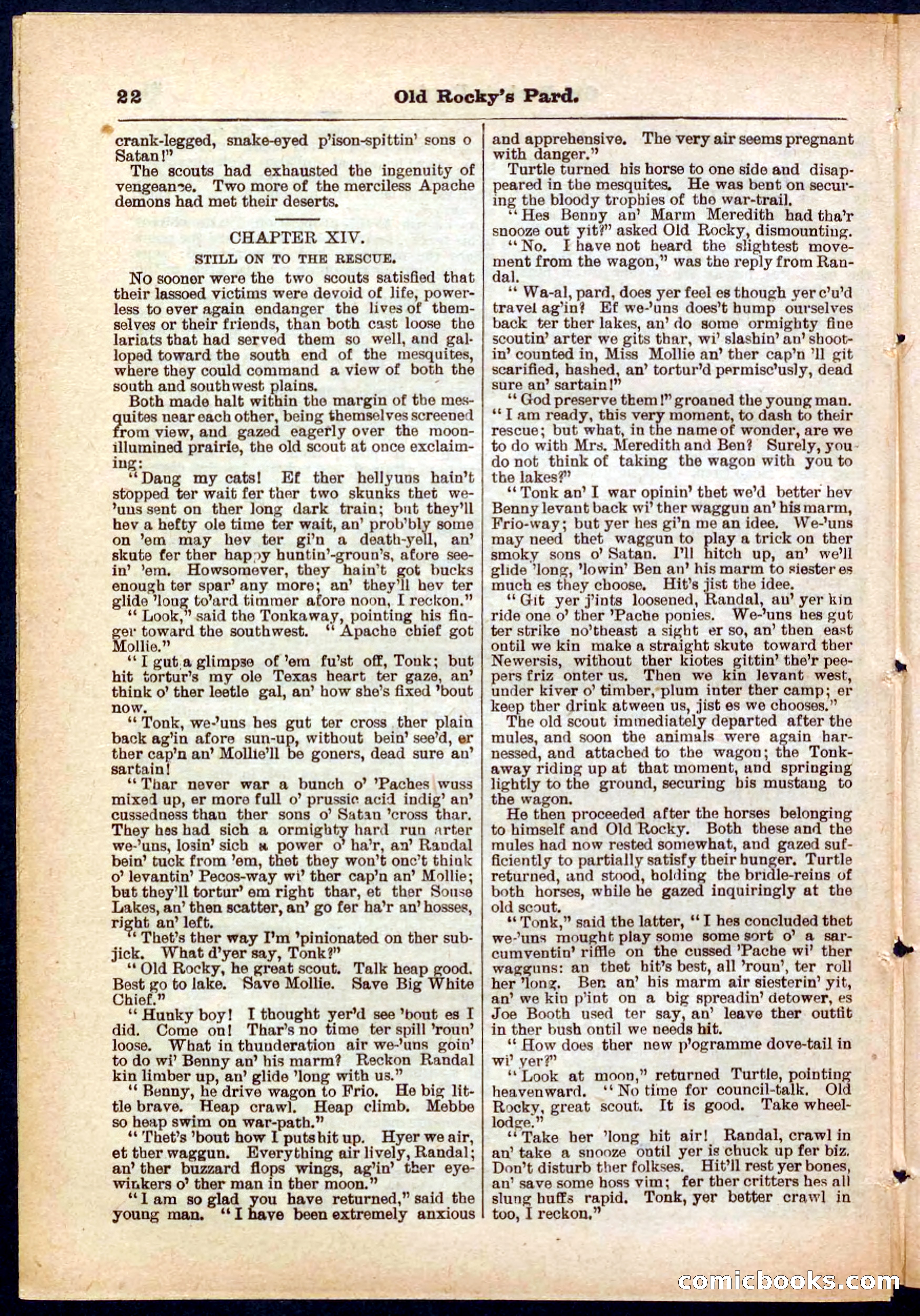 Beadle's Pocket Library No. 285 — page 22 of 32