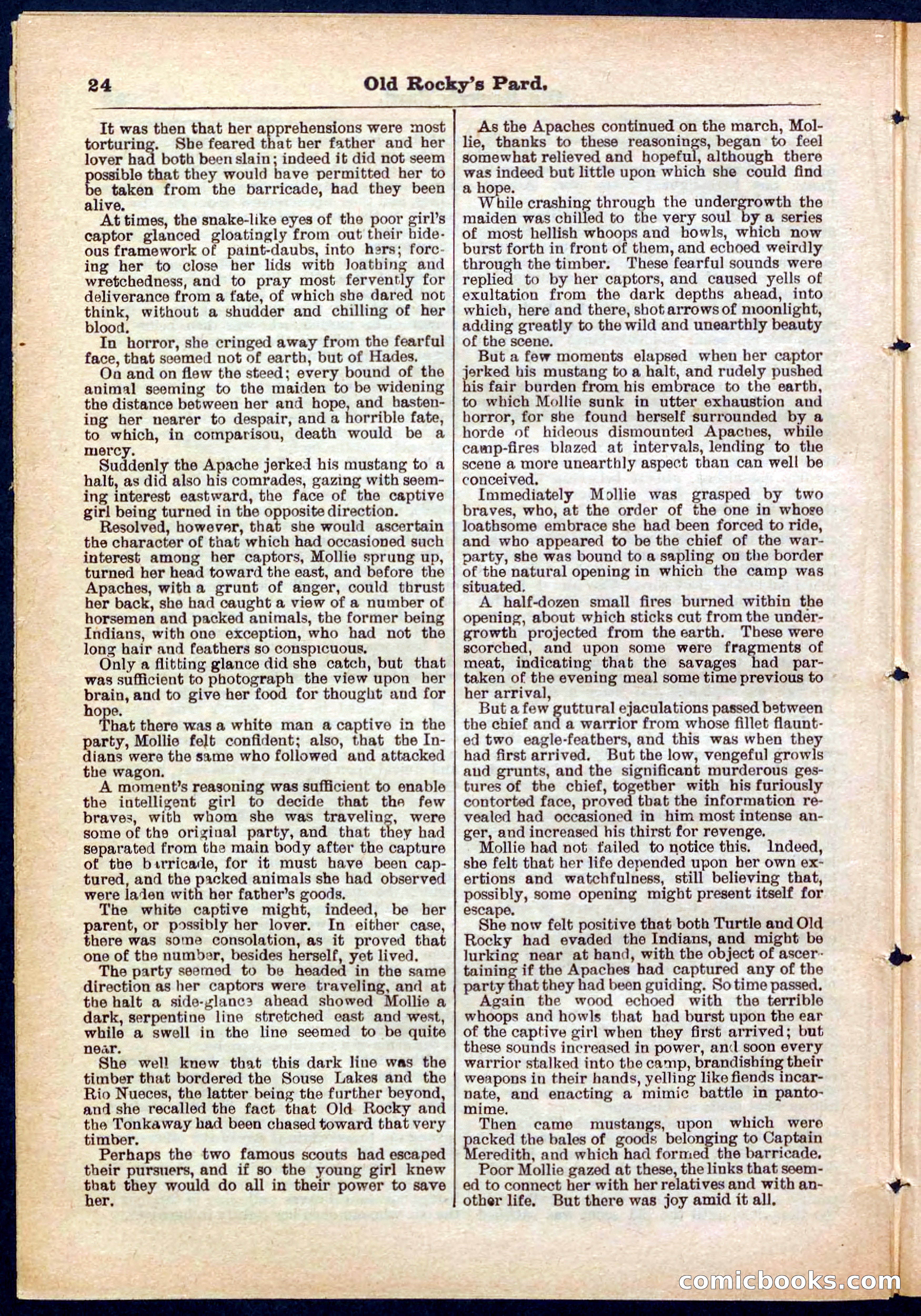 Beadle's Pocket Library No. 285 — page 24 of 32